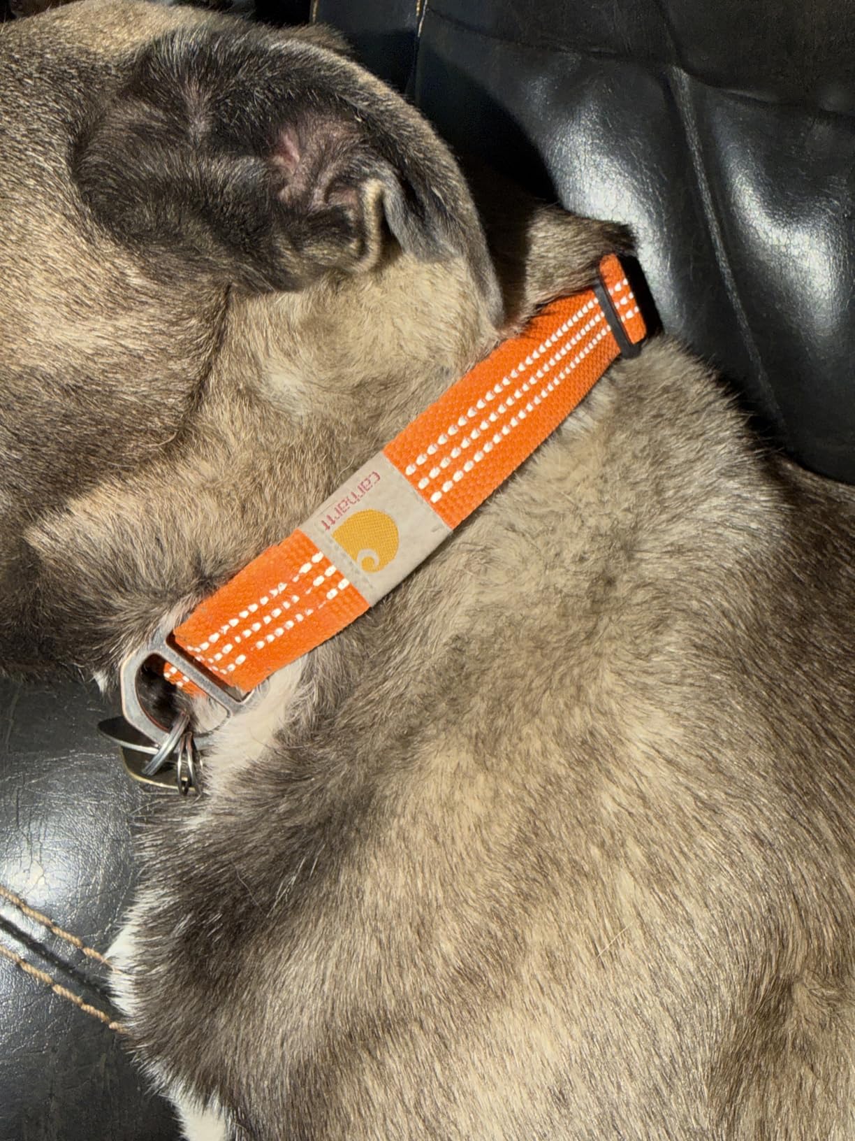 Carhartt Nylon Webbing Dog Collar, Fully Adjustable W/Durable Side Release Buckle and Reflective Stitching, Coral Glow, Large customer photo 1