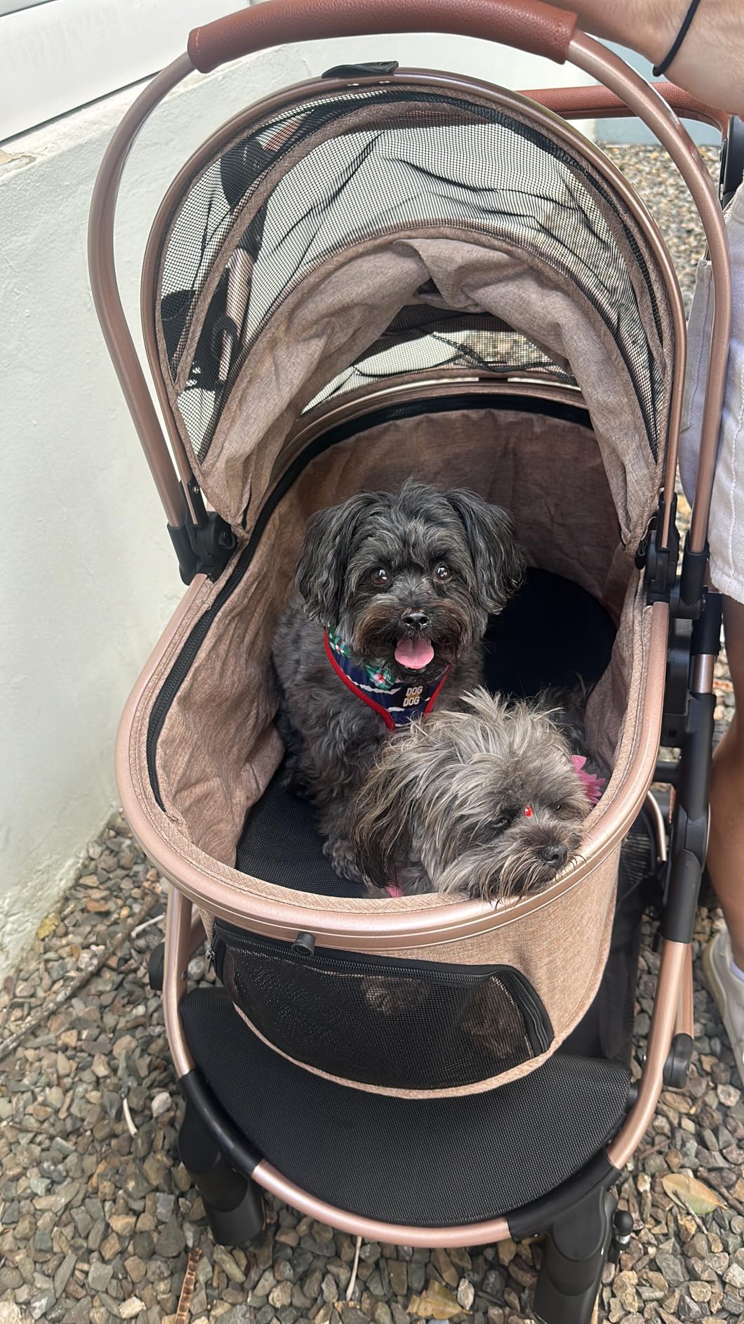 Bicystar Pet Stroller for Medium Dogs, Smooth-Ride Dog Stroller with Detachable Carrier, Rubber Wheels, Car Seat Combo 3-in-1, Up to 50 lbs, for Senior Dogs & Cats, Grey customer photo 1