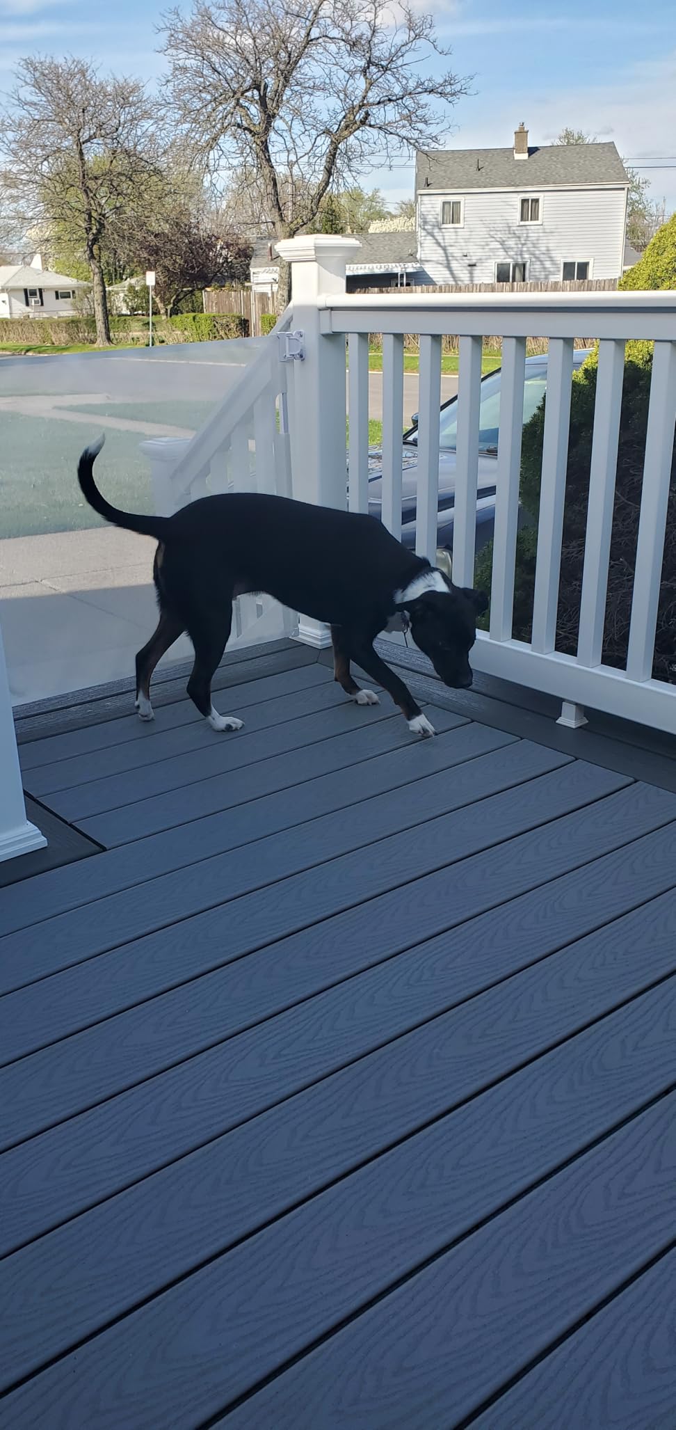Weatherproof Outdoor Retractable Gate for Dogs with No Rust Stainless Steel Screws and Rods, 55