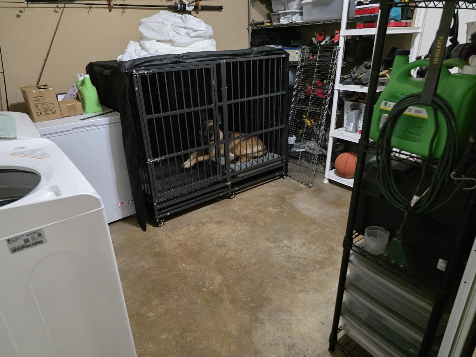 KOKOTANGS 54 Inch Heavy Duty Dog Crate Cage with Wheels, Indestructible and Escape Proof Steel Kennel Indoor for High Anxiety Dogs with Sturdy Locks, Double Door and Tray, Extra Large XL XXL, Black customer photo 1