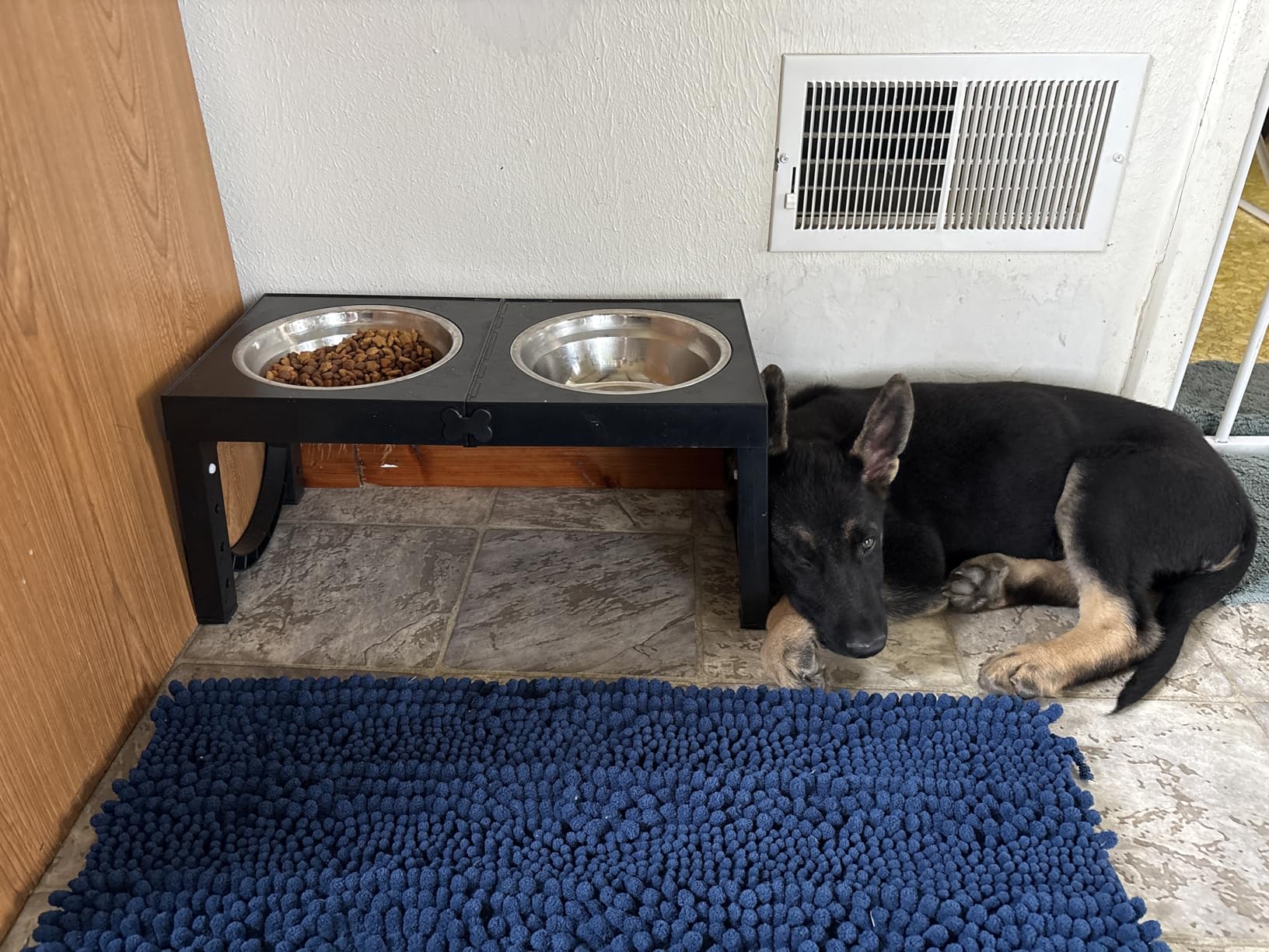 XIAZ Elevated Dog Bowls Large Breed Raised Dogs Bowl Stand Large/Medium Sized Dog Stainless Steel Food Water Bowl Stands 5 Heights Adjustable 9/11/12/14in Black Pet Feeder Dish Station customer photo 2