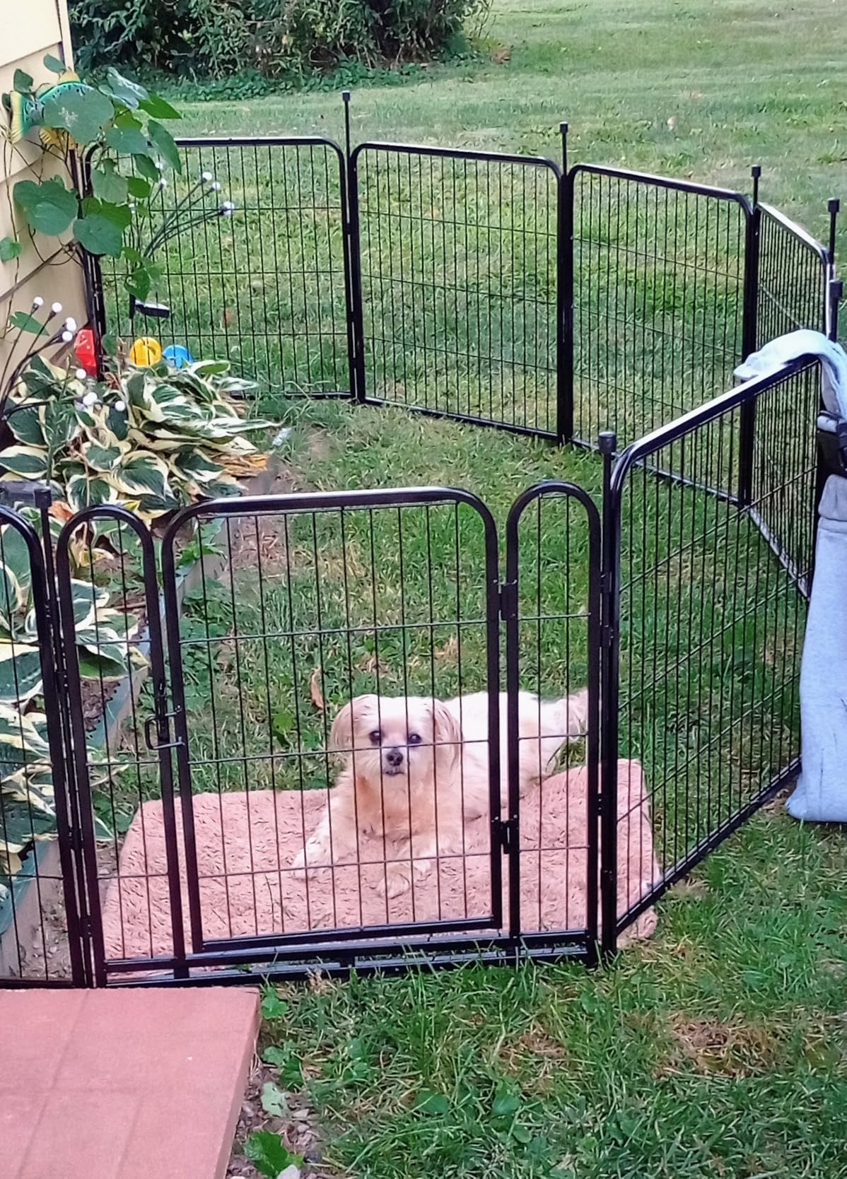 Getlay Dog Playpen 48 inch(H) 8 Panels Total 17.7 Ft(L) Dog Fence Outdoor for Yard. Wide Door Low Threshold, Metal Dog Pen Heavy Duty Pet Puppy Exercise Pen for Rv Camping Garden Yard customer photo 1