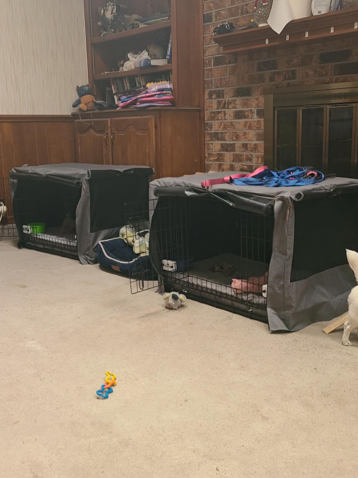 DUMOS 48 Inch Extra Large Double Door Dog Cage with Plastic Leak-Proof Pan Tray, Folding Metal Wire Pet Kennel customer photo 1