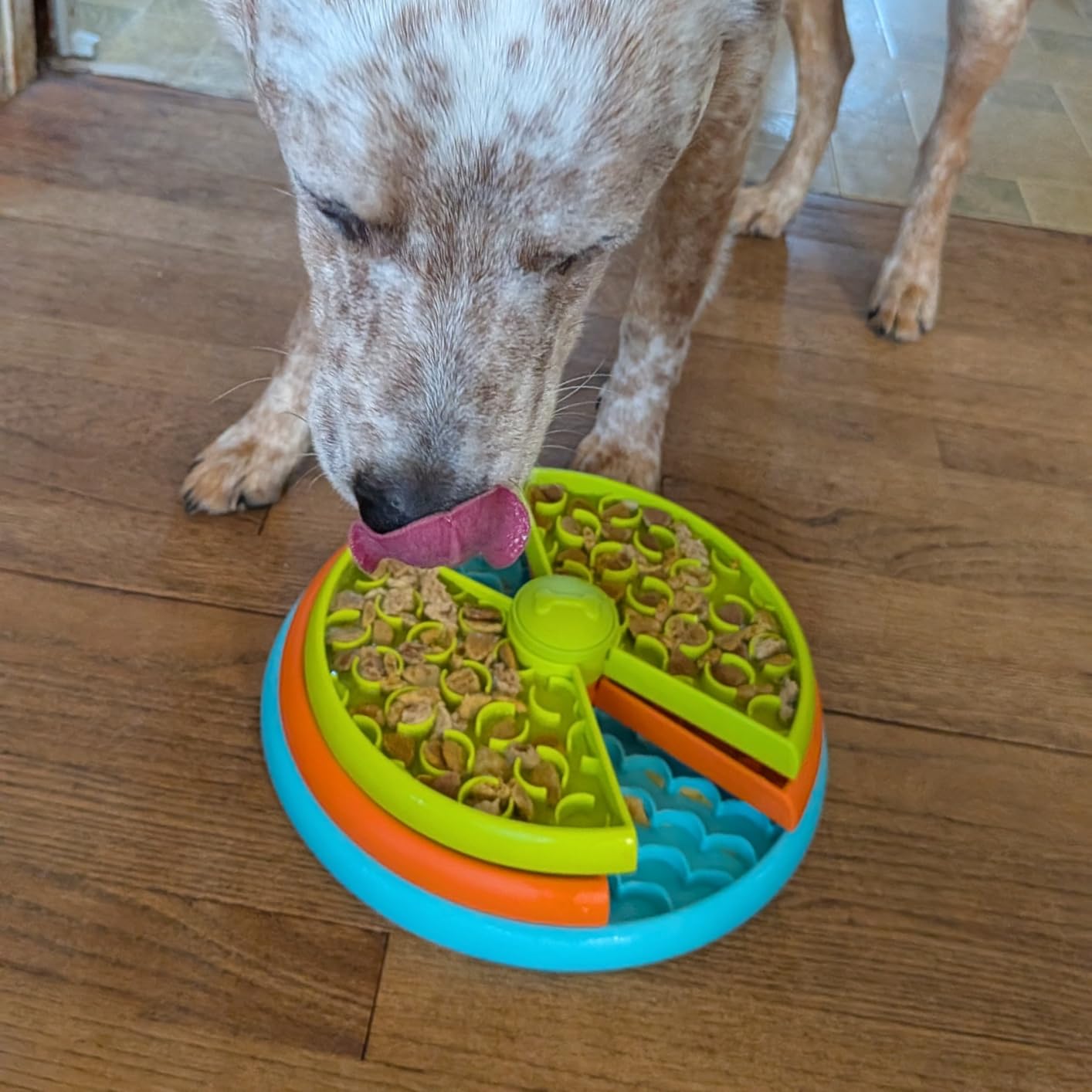 Slow Feeder Dog Bowl 3 Levels, Reduces Boredom and Anxiety, Non-Slip Interactive Puzzle Feeder, Suitable for Small/Medium/Larger Dogs customer photo 1