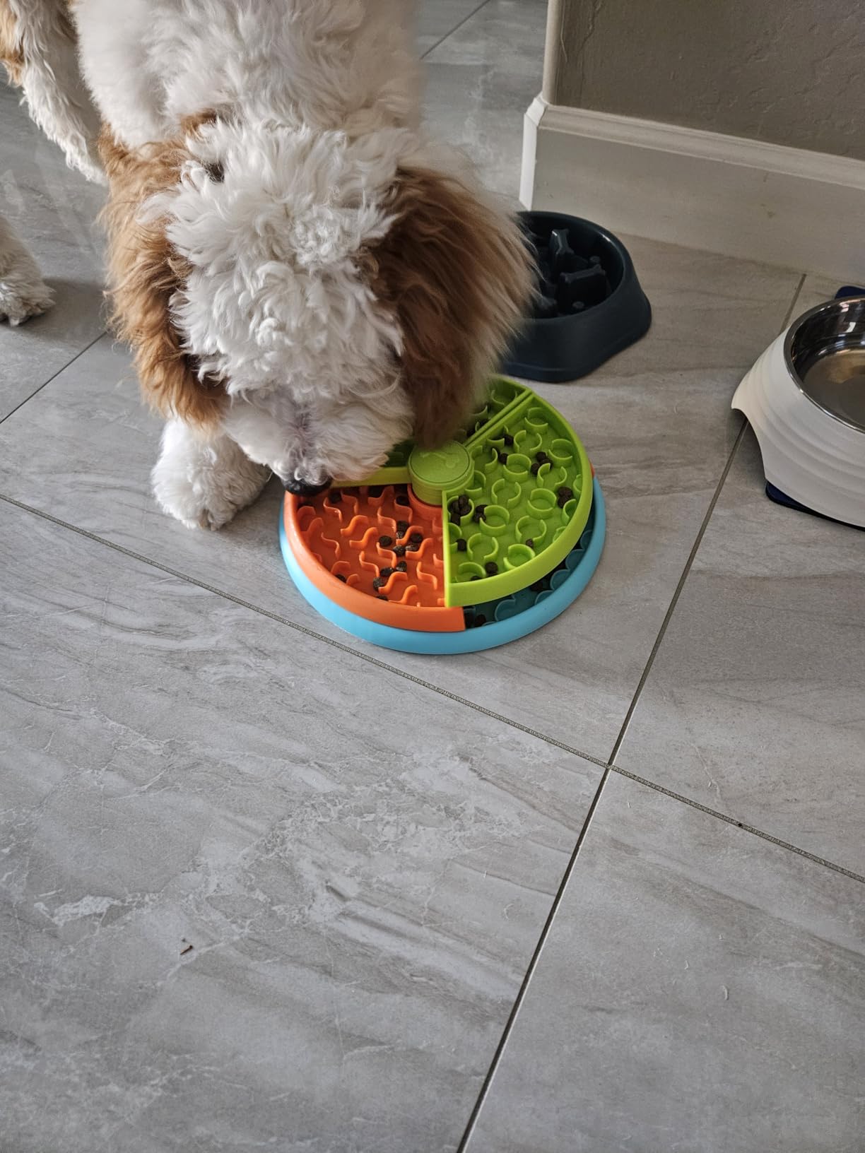 Slow Feeder Dog Bowl 3 Levels, Reduces Boredom and Anxiety, Non-Slip Interactive Puzzle Feeder, Suitable for Small/Medium/Larger Dogs customer photo 2