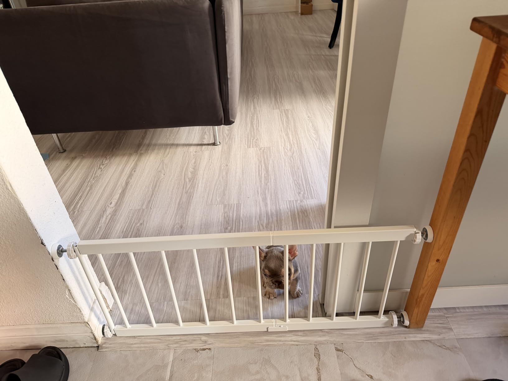 Fldofaves Dog Gate - 18