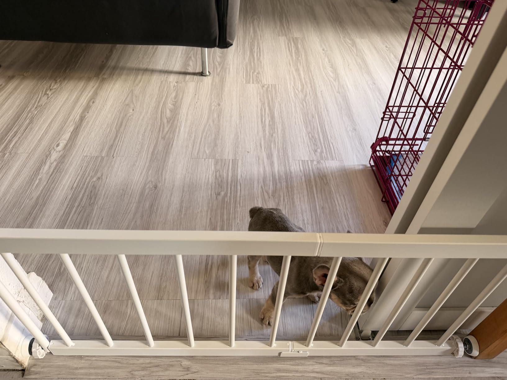 Fldofaves Dog Gate - 18