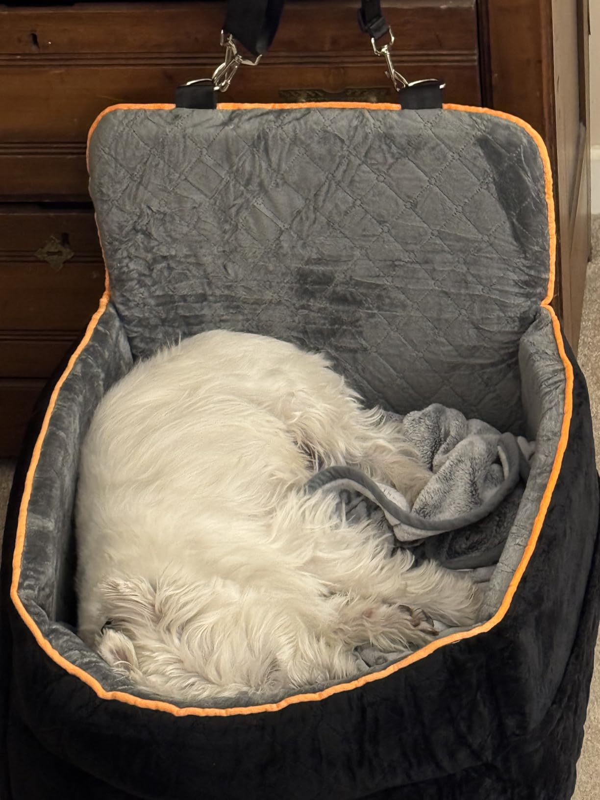 HEGGCOOE Small Dog Car Seat, Memory Foam Dog Booster Car Seats with Thick Cushion for Medium Dogs Under 35lbs, Detachable Washable Dog Bed for Car, Pet Carseat with Storage Pockets, 2 Safety Belts customer photo 1