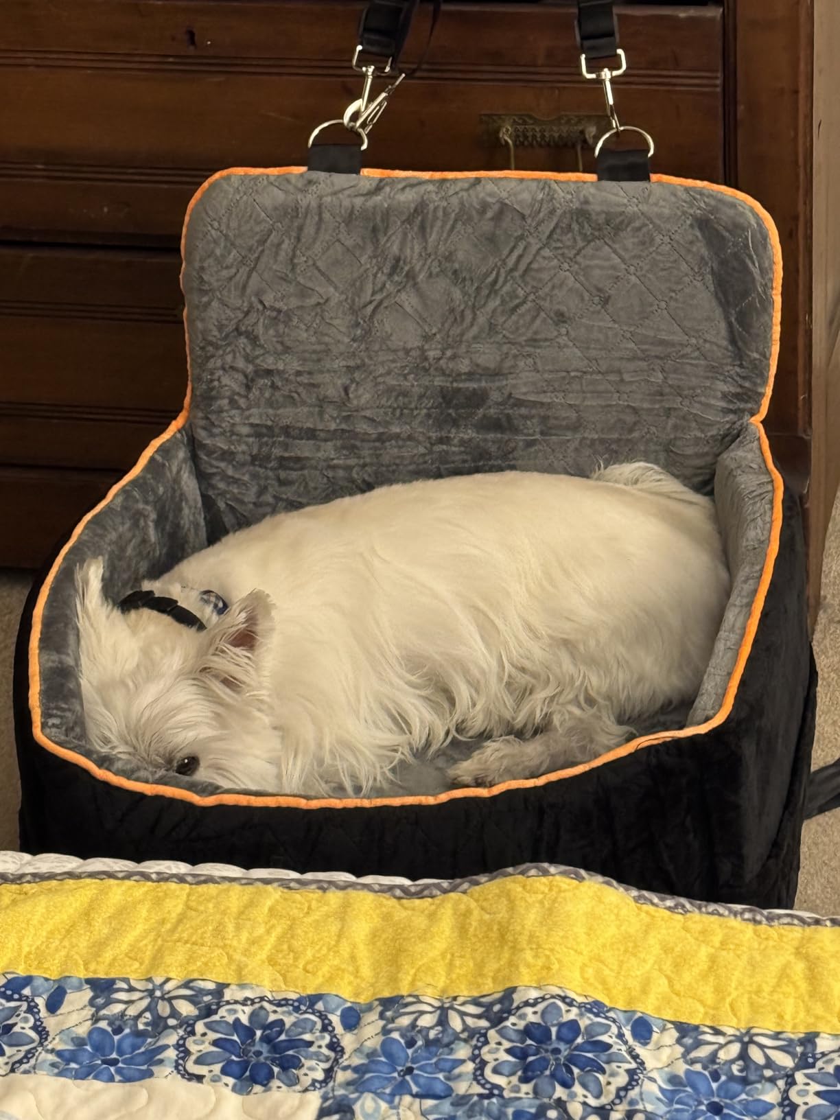 HEGGCOOE Small Dog Car Seat, Memory Foam Dog Booster Car Seats with Thick Cushion for Medium Dogs Under 35lbs, Detachable Washable Dog Bed for Car, Pet Carseat with Storage Pockets, 2 Safety Belts customer photo 2