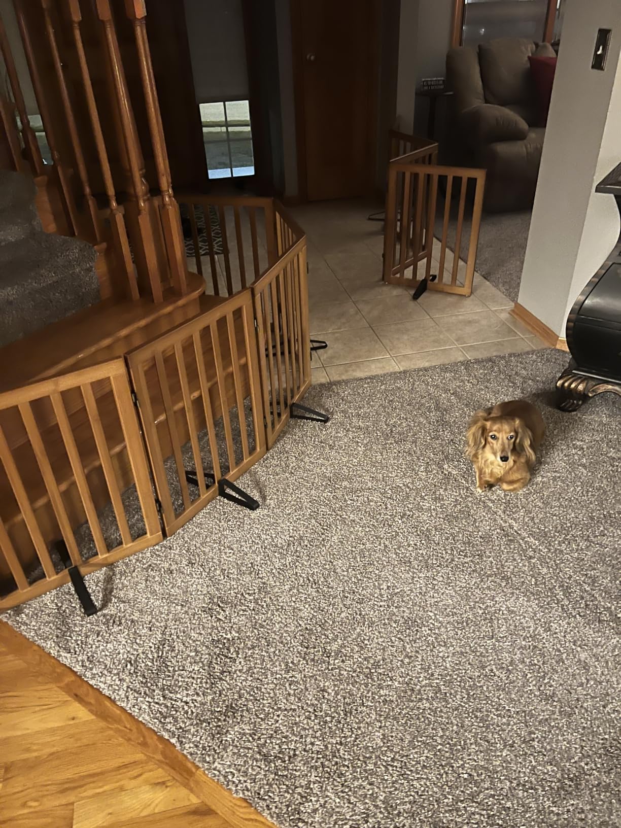 Freestanding Pet Gate Foldable 4 Panel Dog Gate Walnut Dog Gates for Stair Doorways House Indoor (2 Support Feet Included) customer photo 1