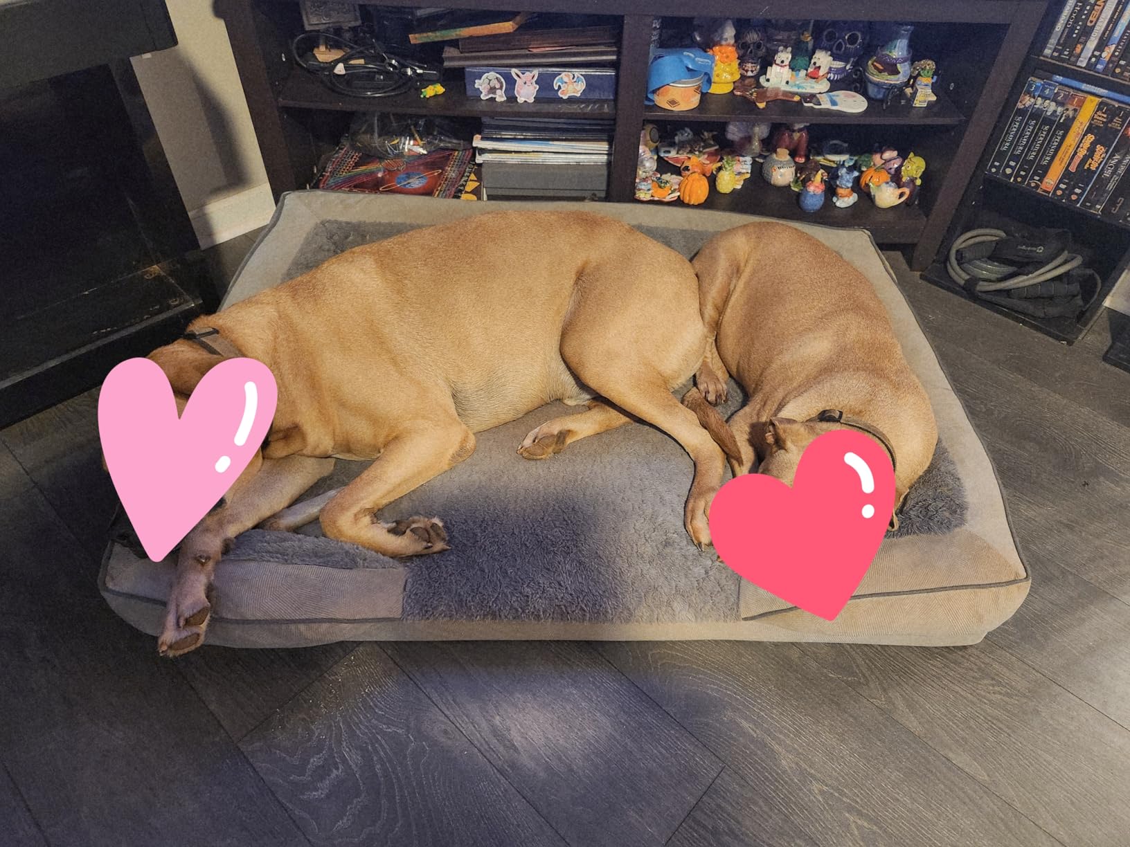 INVENHO Orthopedic Dog Beds Large Sized, XL Washable Dog Sofa with Egg-Crate Foam, Waterproof Lining and Non-Skid Bottom customer photo 2