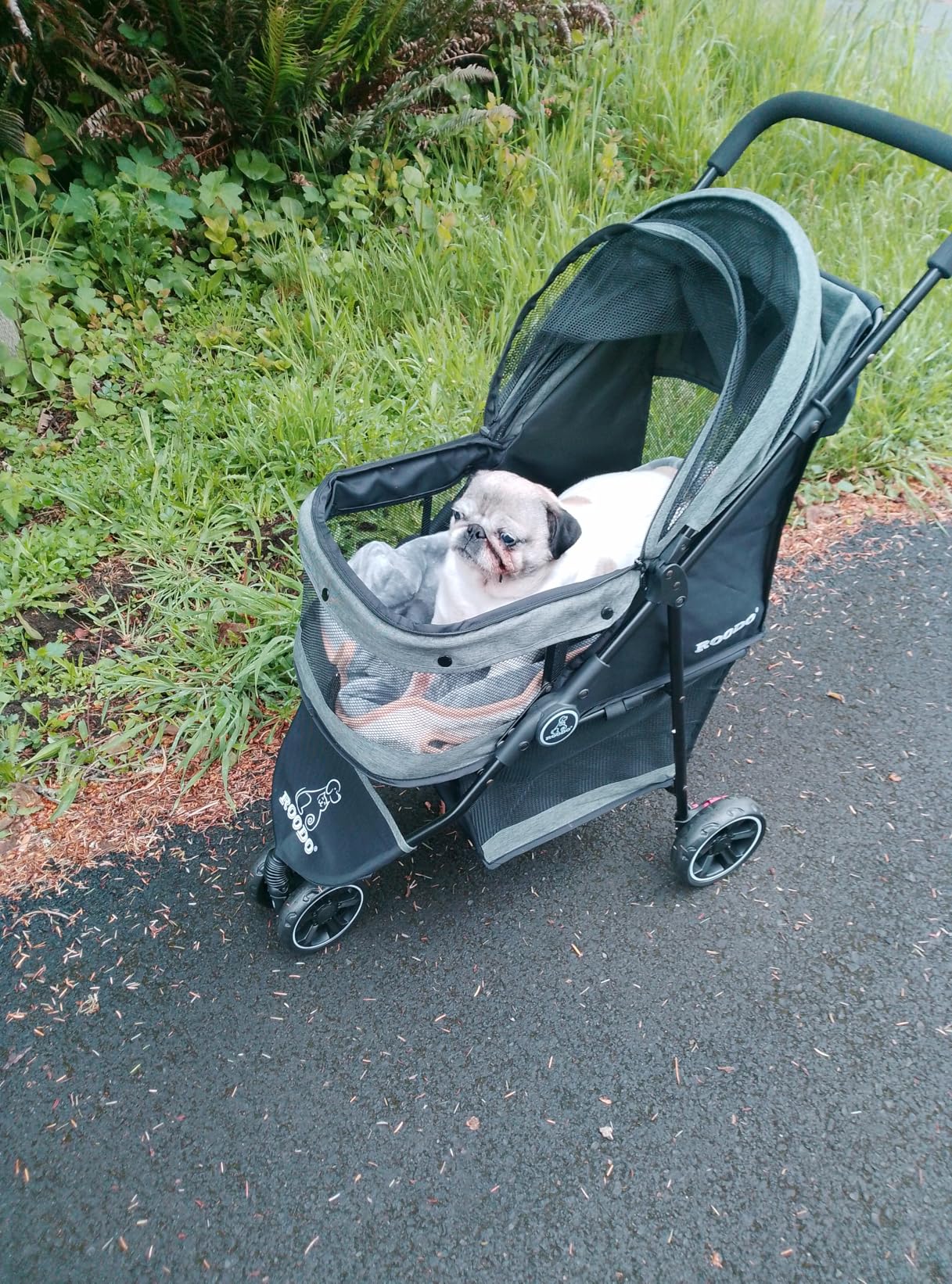 ROODO 3 Wheel Dog Pet Cat Stroller, Best Lightweight Foldable Compact Portable Jogger All Terrain Travel Pet Gear Puppy Kitty Stroller for up to 30lbs, Small Dogs and Cats, Light Khaki customer photo 1