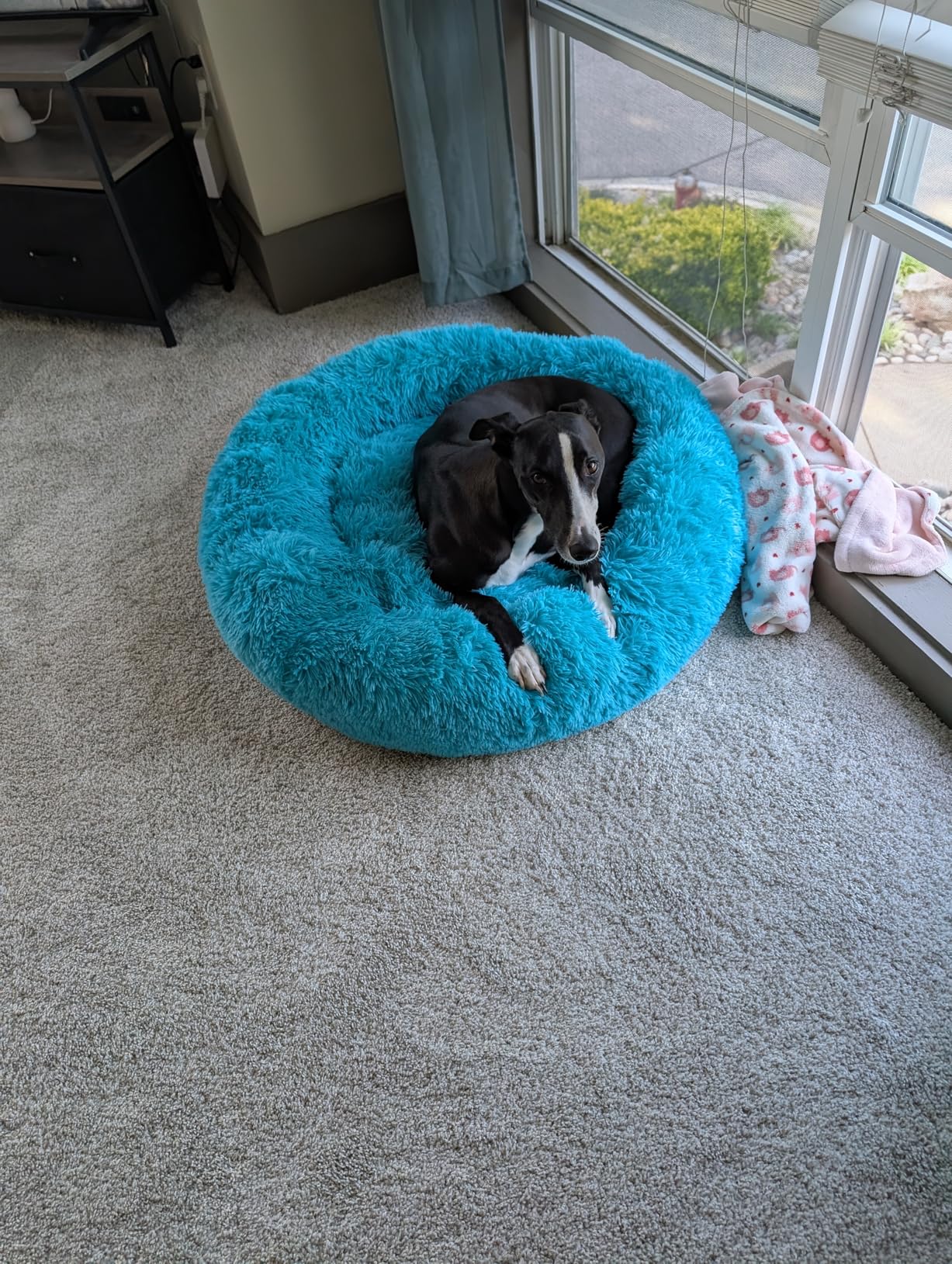 JOLLYVOGUE Calming Dog Bed Medium Size Dog, 31in Donut Washable Medium Pet Bed, Anti-Slip & Anti-Anxiety Fluffy Faux Fur Round Dogs Bed, Fits up to 45 lbs Pets (Smoke Grey) customer photo 1