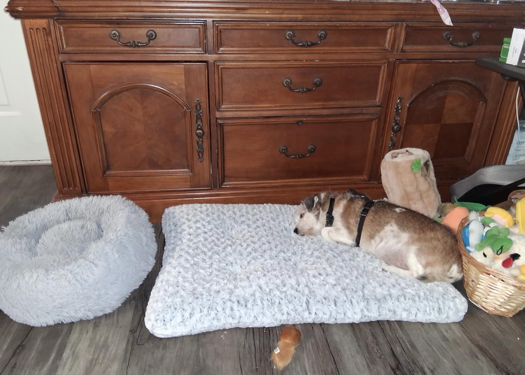 Hoewina Dog & Cat Bed for Indoor Cats, 20in Calming Donut Bed for Puppy and Kitten, Washable Round Fluffy Pet Bed for Small Medium Dogs and Cats (Light Grey) customer photo 2