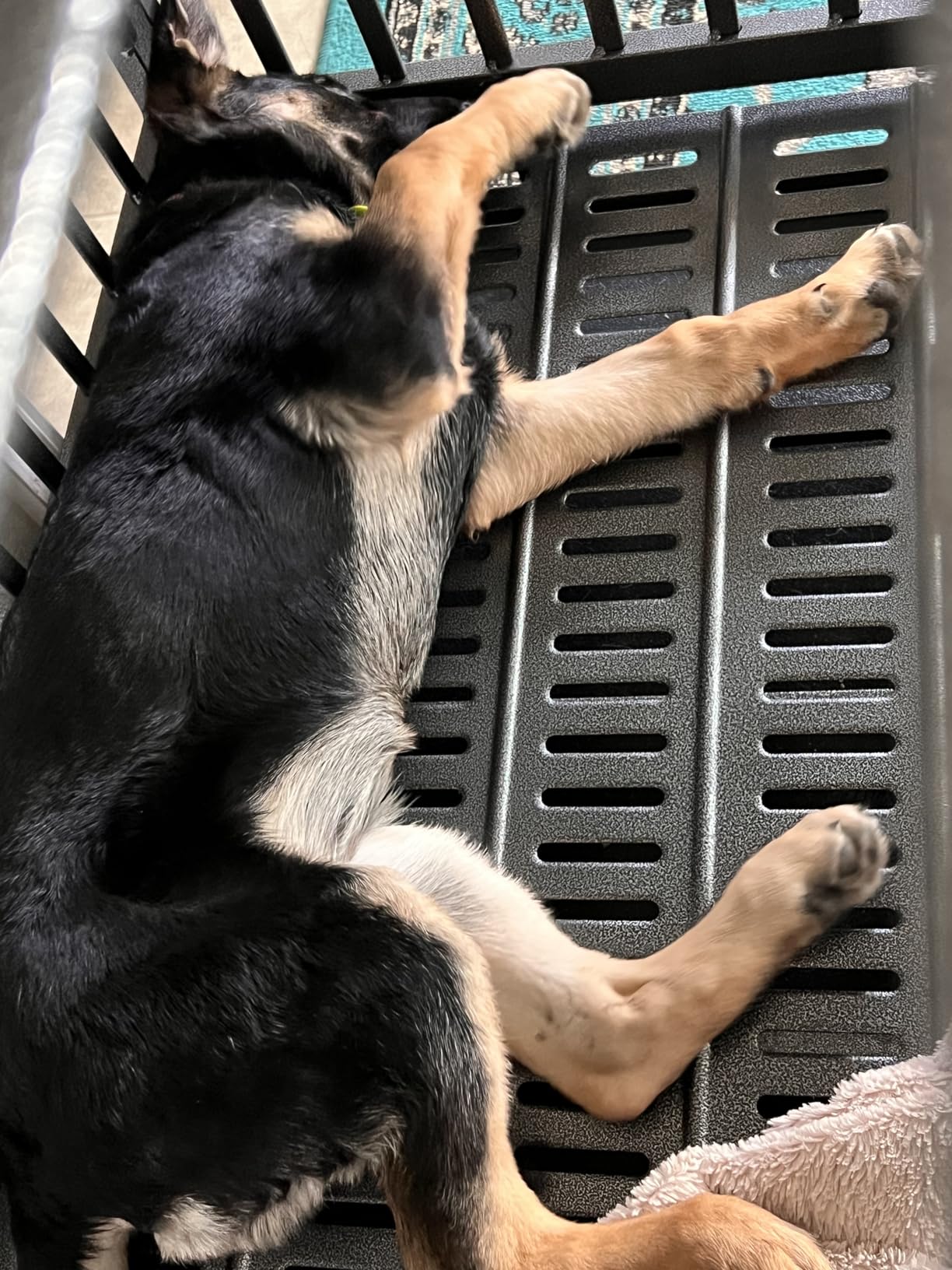 Oranland 48 inch Heavy Duty Indestructible Dog Crate, 2025 New Upgraded Reinforced Baseplate for Large Dogs, XL Dog Crate for High Anxiety Dogs/Max Load Capacity 250lbs/Double Door with Wheels customer photo 2