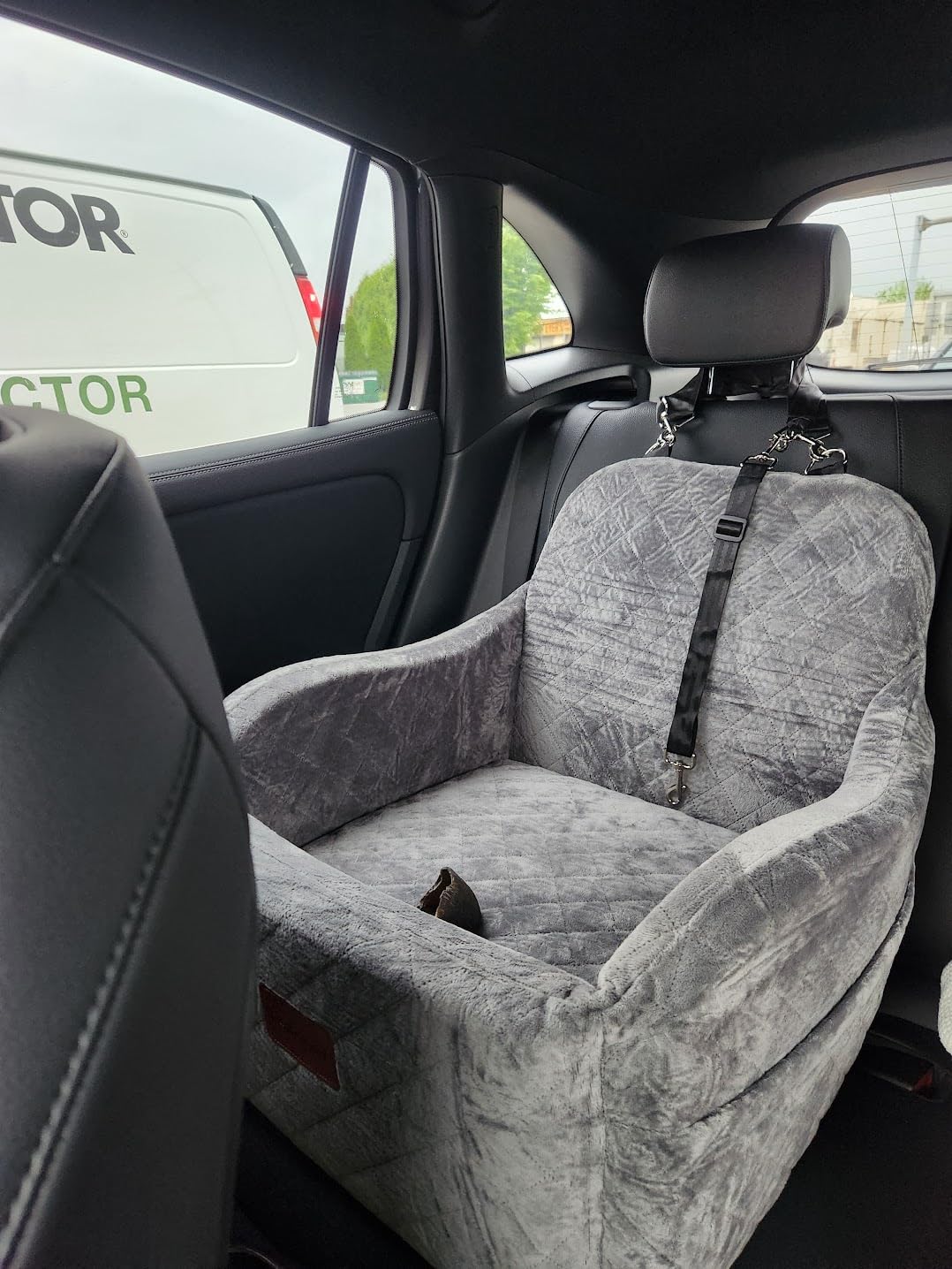 Lealchum Dog Booster Car Seat for S/M Dogs Up to 35lbs, Soft 6in Elevated Cushion, Fits Front/Back Seat, Fully Detachable and Washable, 2 Storage Pockets & 3 Straps (Black/Brown, Medium) customer photo 1