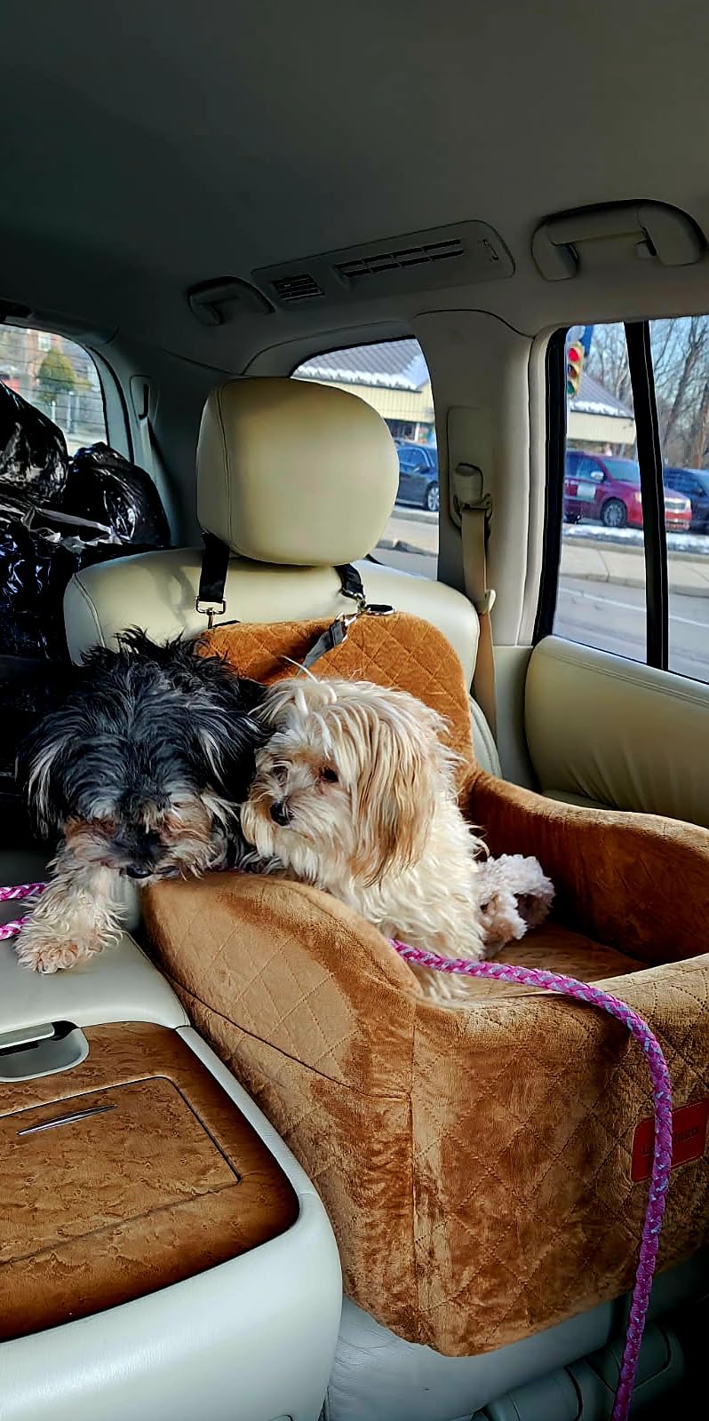 Lealchum Dog Booster Car Seat for S/M Dogs Up to 35lbs, Soft 6in Elevated Cushion, Fits in Front/Back Seat, Fully Detachable and Washable, 2 Storage Pockets & 3 Straps, Easy to Install (Black/Brown, Medium) customer photo 2