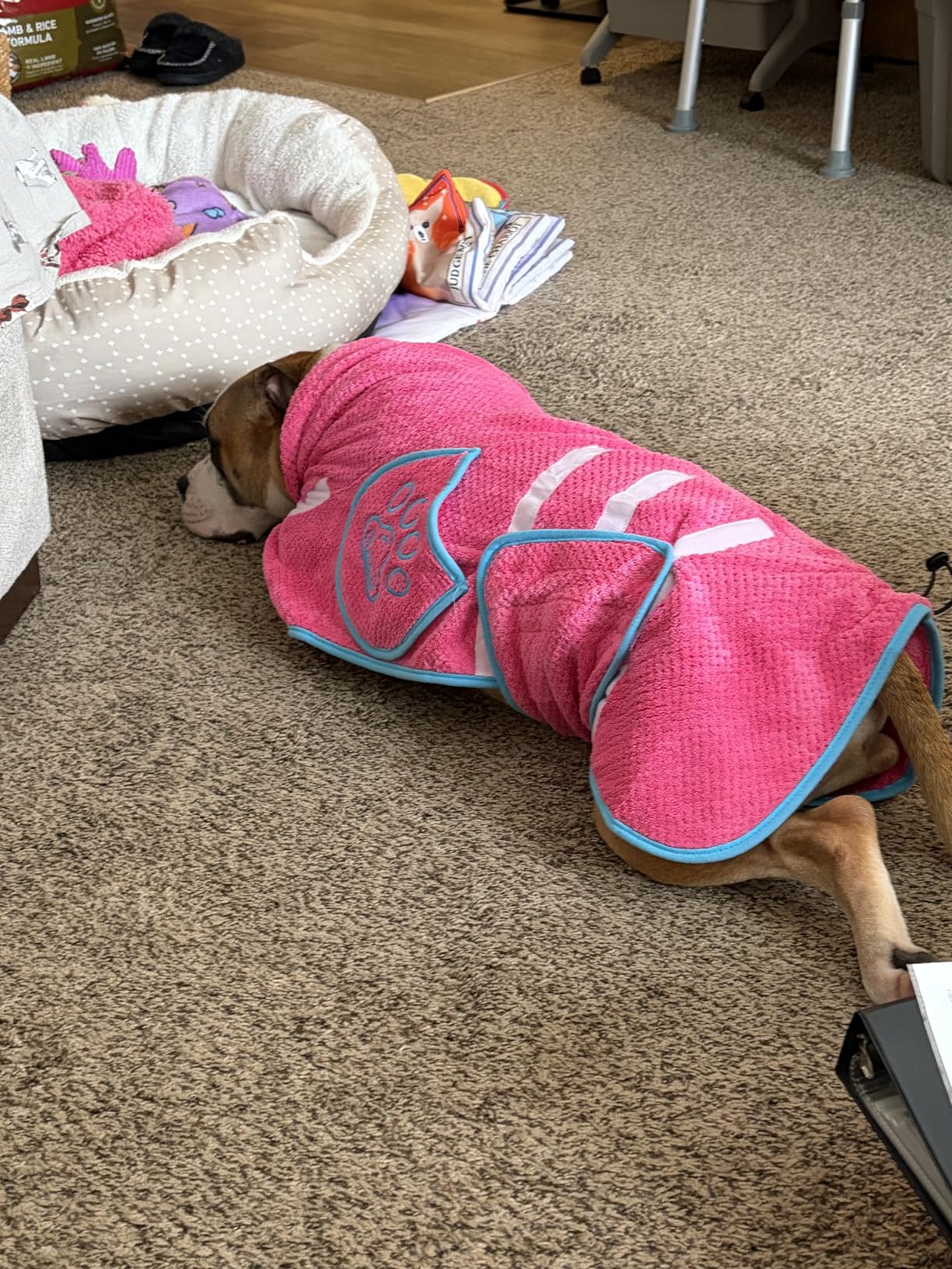 SlowTon Dog Bathrobe Drying Coat - Super Absorbent Microfiber Towel Wrap with Adjustable Collar & Belly Strap, Fast Drying Bath Robe for After Bath Swim, for Large Medium Small Dogs, Pink XL customer photo 1