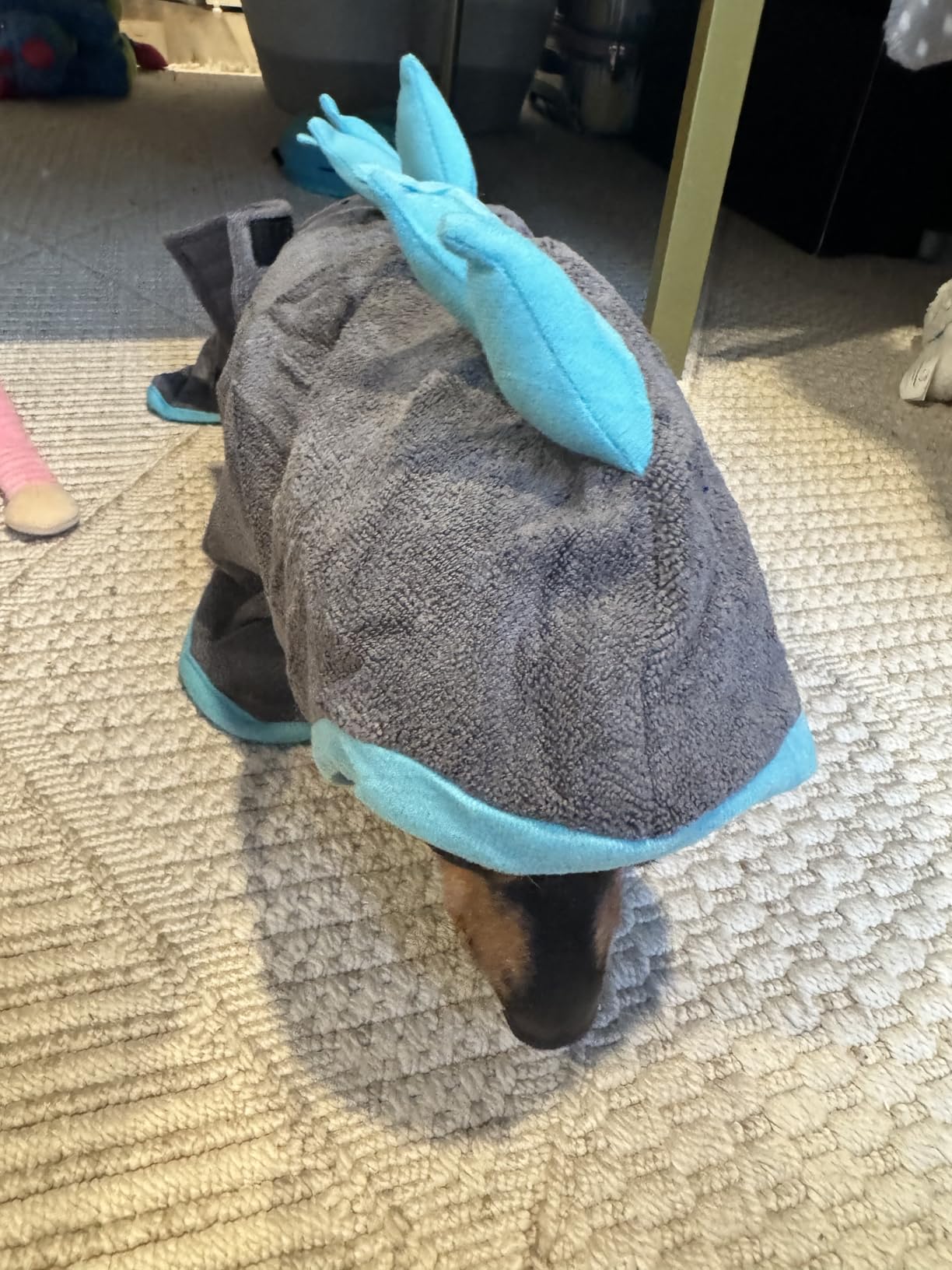 Super Absorbent Dog Bathrobe, Microfiber Bath Robe Towel for Fast Drying, Cozy Fit, Adjustable Belly Strap, Unique Dinosaur Design Dog Drying Coat for Bath, Rainy Walks & Cold Weather customer photo 1