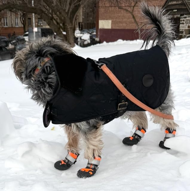 Dog Shoes for Large Dogs, 360 Degree Anti-Slip Medium Dog Boots & Paw Protectors, Waterproof with Reflective Strips customer photo 1