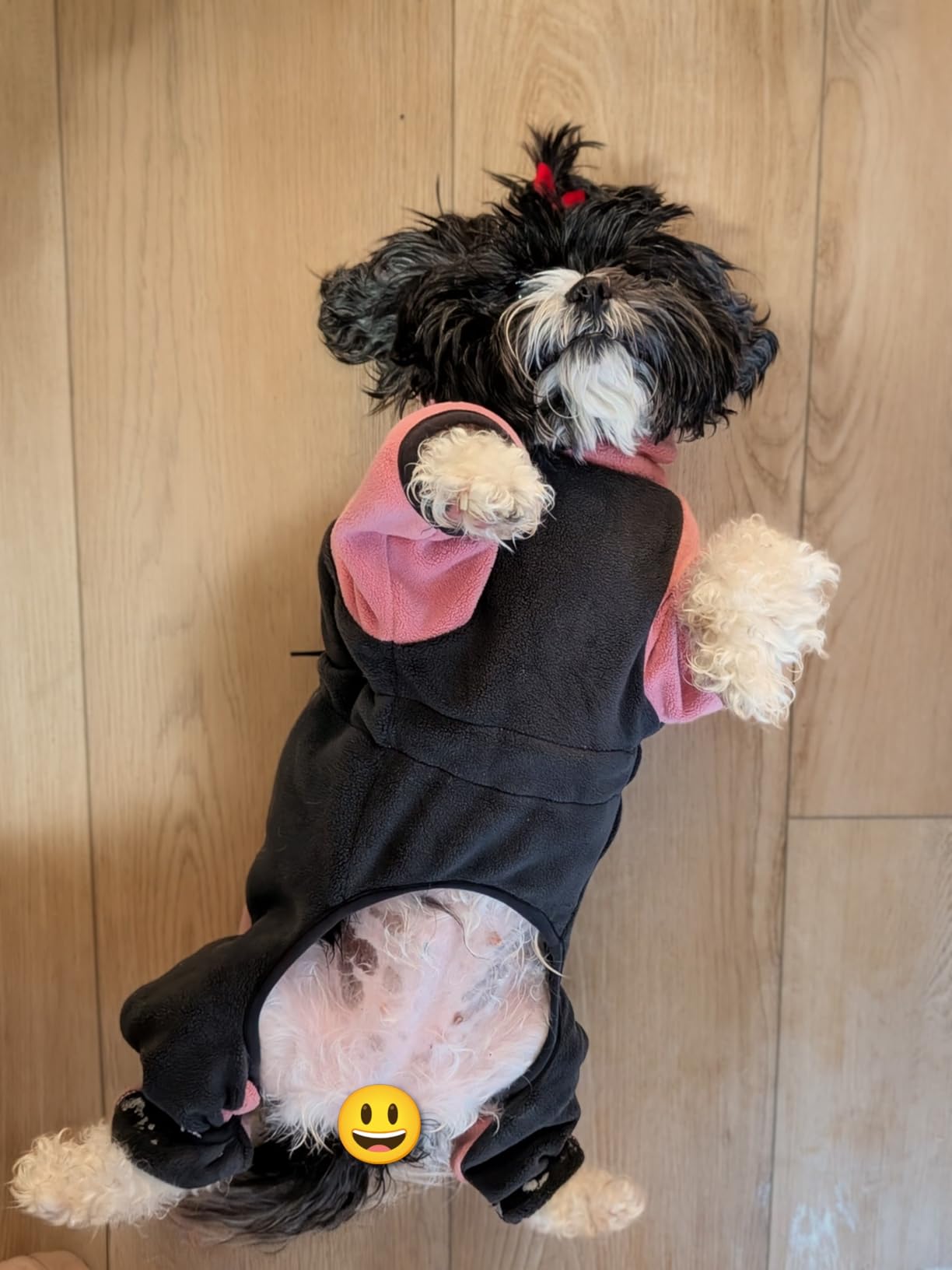 Fleece Dog Coat for Small Medium Dog, Pullover Pajamas Jumpsuit Bodysuit Puppy Coats with Legs, Pet Windproof Warm Cold Weather Jacket Full Body Vest Cozy Snowsuit Outfit Clothes - Black, S customer photo 2