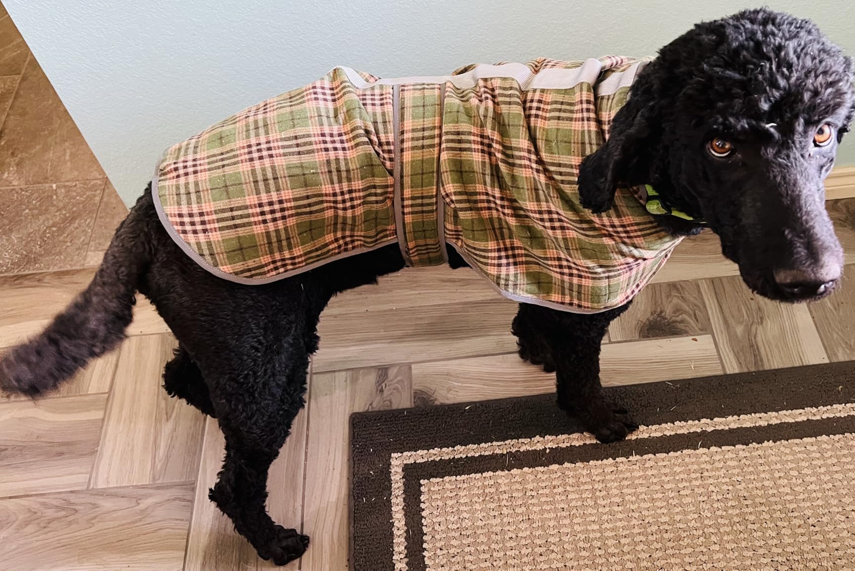 Greyhound Coats - Autumn Winter Dog Jacket Adjustable Thin and Warm Fleece Coat for Whippet Dogs Cozy Lightweight Winter Dog Clothes for Italian Greyhound - 2XL customer photo 1