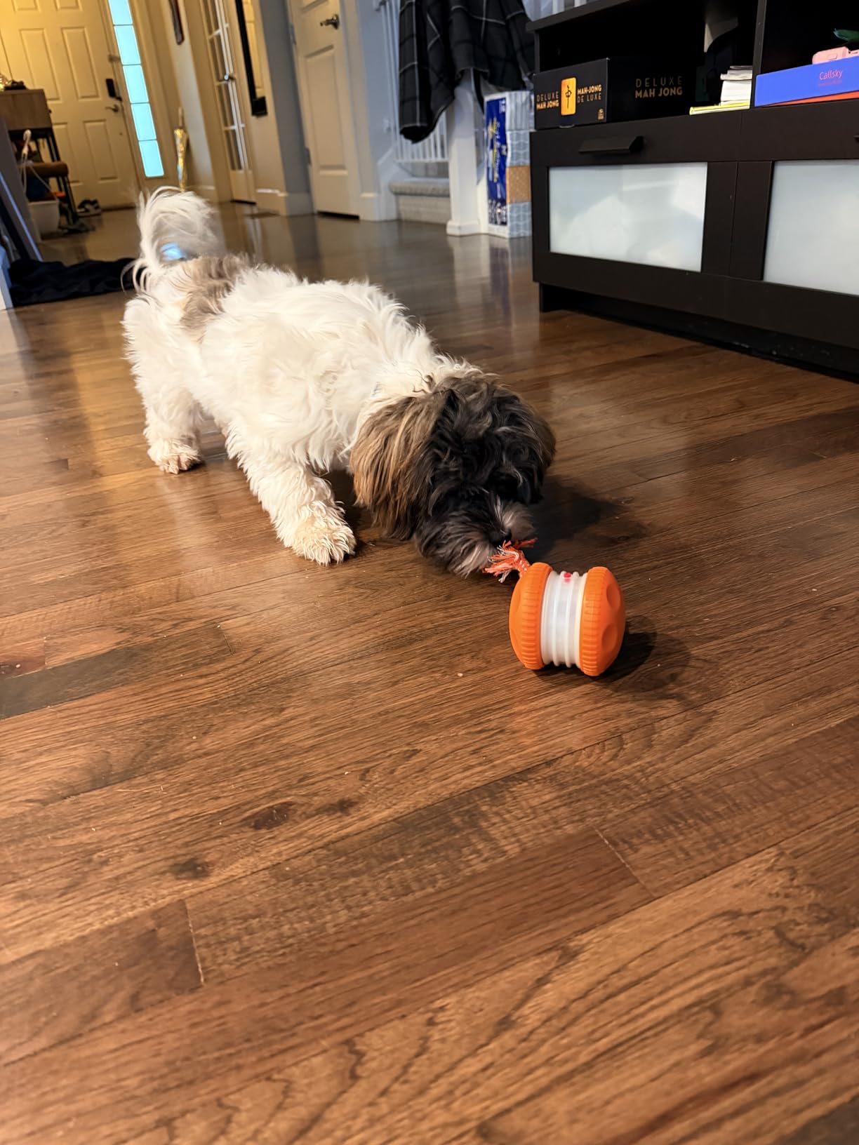 Interactive Dog Toys, Random Path Electric Automatic Moving and Rolling Dogs Toy with Rope for Small Medium Large Dogs, Motion-Activated Dog Stimulation Toy for Boredom Relief (Orange) customer photo 2