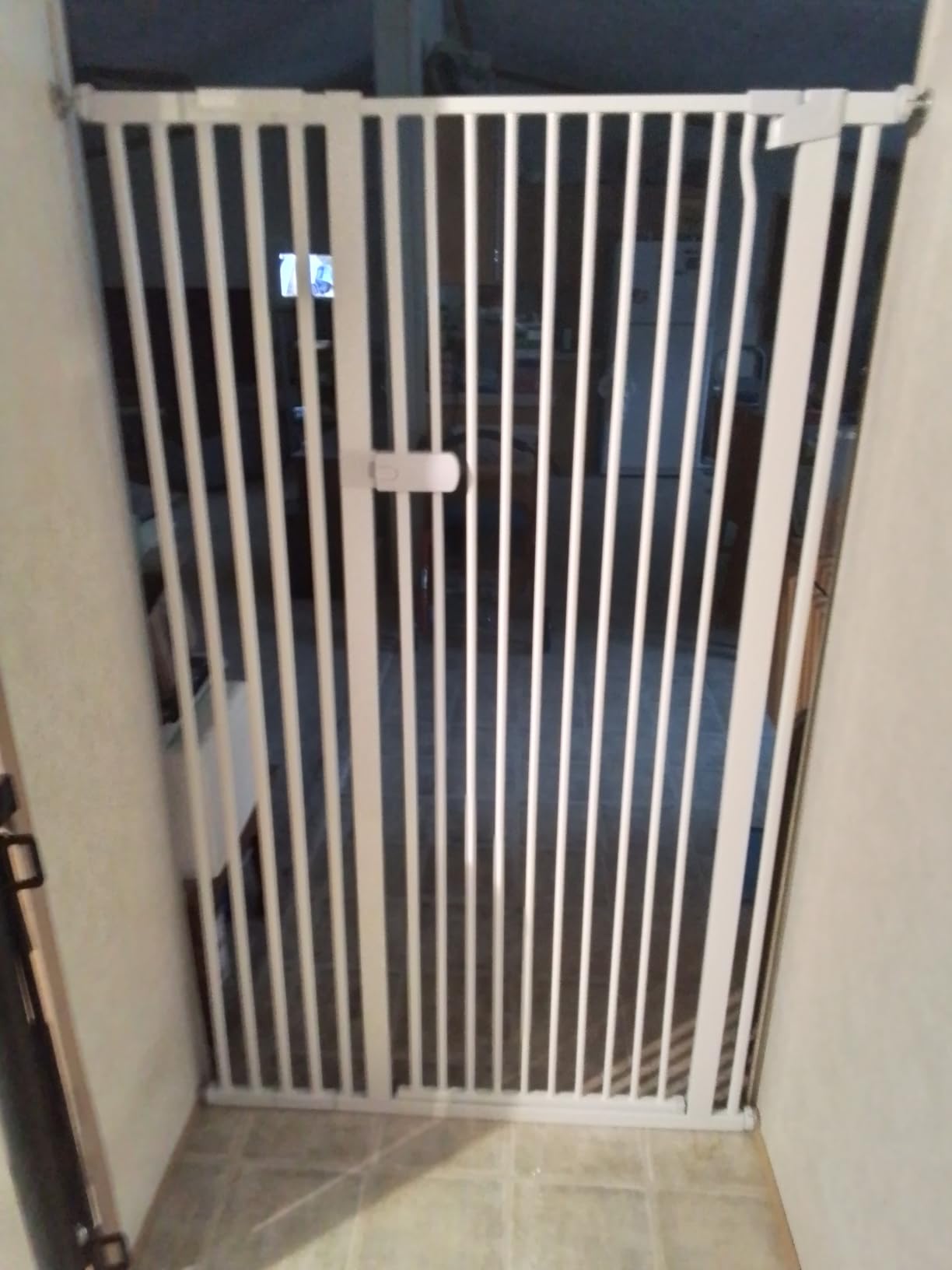 Lumizone Extra Tall Cat Gate 55.12