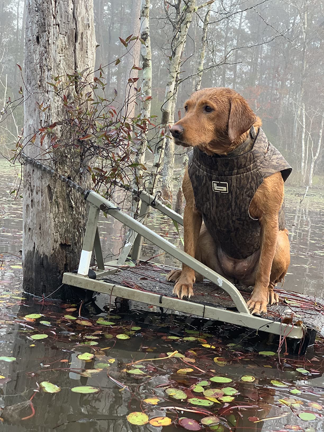 Banded Dogs' Waterfowl Hunting Warm Neoprene Floating Performance Thermoregulating 5mm Parka (Realtree Legacy, Large) customer photo 1