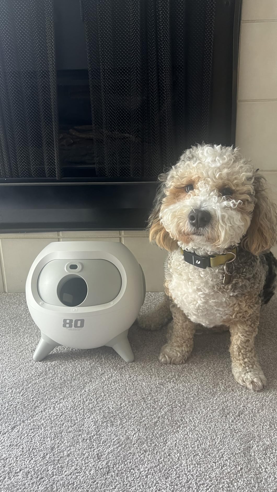 uahpet Automatic Ball Launcher for Dogs with Obstacle Detection, 20ft-80ft Adjustable Distances Ball Thrower Launcher for Medium & Large Dogs, with 4 Balls (2.5 inches) customer photo 1