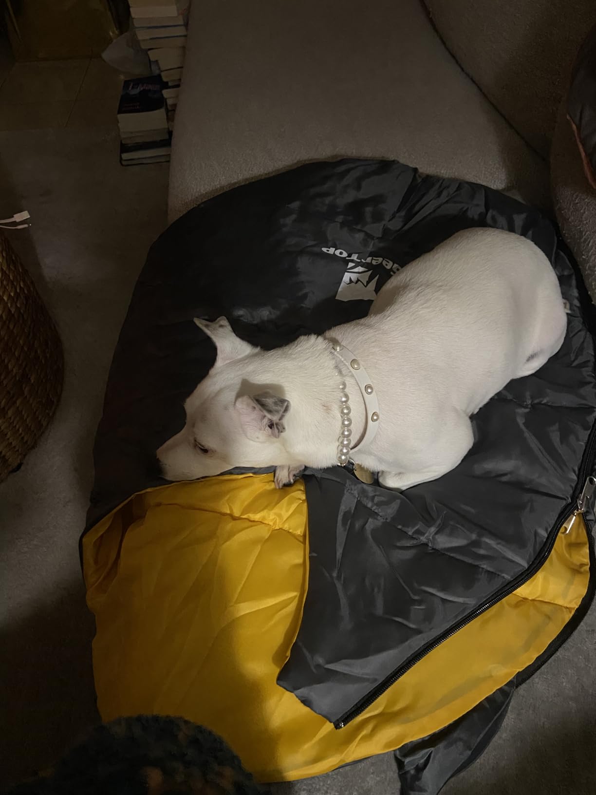 GEERTOP Lightweight Dog Sleeping Bag Portable Cozy Durable Machine Washable Pet Bed for Camping, Hiking Travel customer photo 1