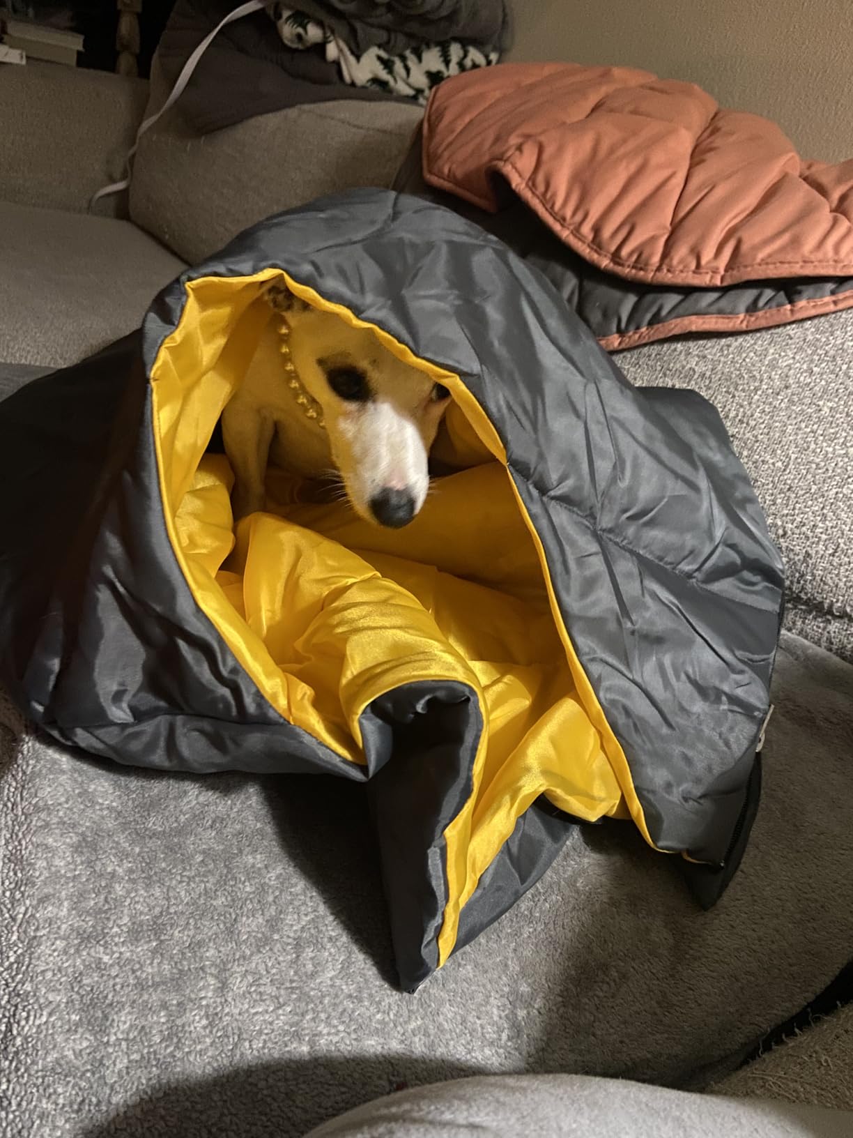 GEERTOP Lightweight Dog Sleeping Bag Portable Cozy Durable Machine Washable Pet Bed for Camping, Hiking Travel customer photo 2