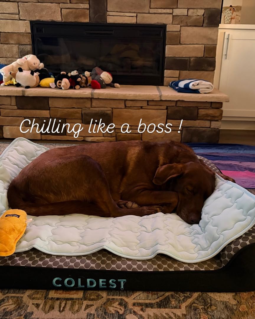 Bedsure Cooling Dog Mat Extra Large, Q-Max>0.5 XXL Thin Breathable Cold Crate Pad for Pet, Portable Washable Kennel Bed for Summer Active Dog with Chill Soothing Fabric to Rapid Cooling, 48×30, Blue customer photo 1″ class=”wp-image-customer”/></figure>
<p>The OEKO-TEX STANDARD 100 certification means every component has been tested for harmful substances, which is a big deal for pet safety. The breathable fabric with bonded fiber filling allows air circulation, helping heat dissipate even when the mat is in direct contact with your dog’s body. It fully machine washes and goes in the dryer, which is a rarity among cooling mats.</p>
<p>In tropical conditions, this mat absorbs heat from your dog rather than generating cold. That means it works best when your dog gets on and off periodically, allowing the fabric to release the absorbed heat. During continuous use in our 90-plus degree test room, the cooling sensation faded after about 45 minutes of uninterrupted contact. However, the lightweight convenience and washability make it a practical daily option.</p>
<figure class=