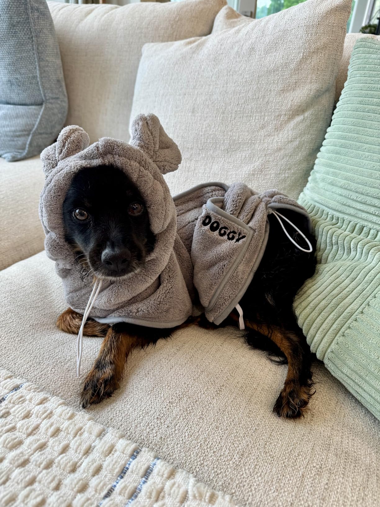 SOGGYDOGGY US: Luxury Dog Bathrobe, Super Absorbent Microfiber Dog Bath Supplies, Fast Dry in Minutes, Thick & Soft Robe - Pet Grooming, Wash & Pet Hair Dryer - All-Season Dressing Gown (M) customer photo 1