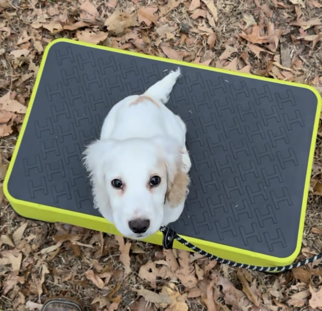 HUNTMARK Dog Training Place Board - Durable Hunting Dog Training Platform - Non-Skid Surface and Nonslip Feet - Stackable, Portable Agility Platform - Modern Puppy Trainer Equipment (Green) customer photo 1