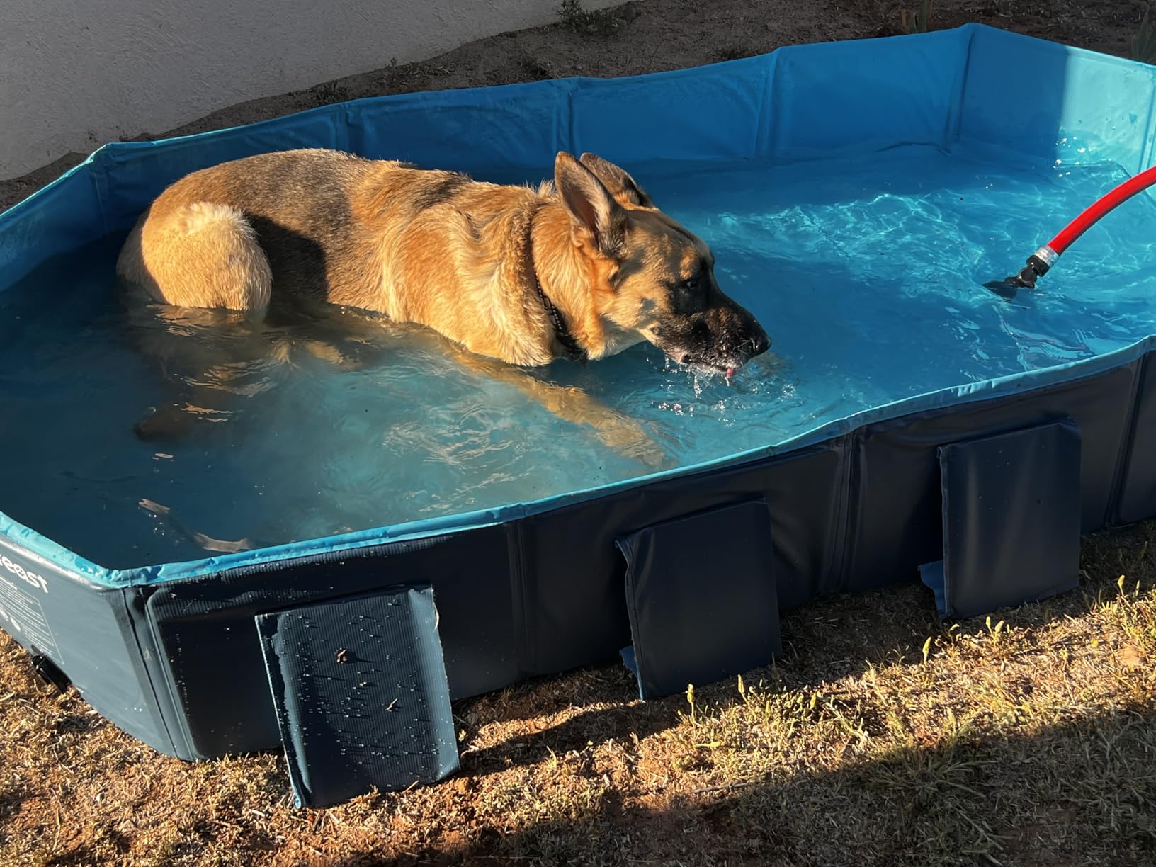 Peteast Foldable Dog Pool - Extra Large 71