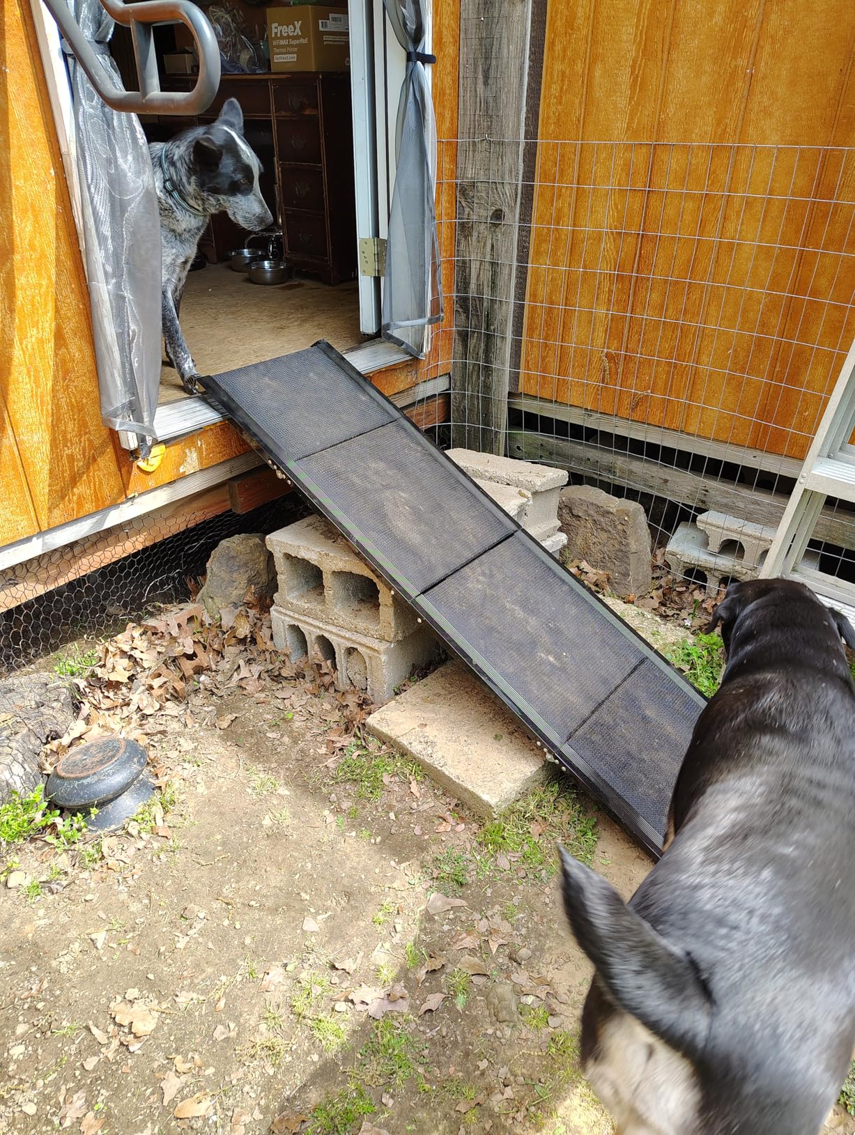 Dog Ramp, Dog Ramp for Car with Anti-Slip Surface, 63