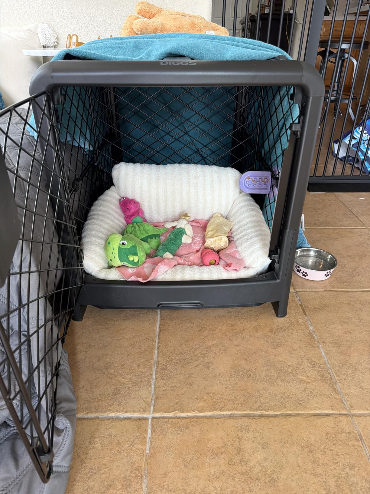 DIGGS Revol Collapsible Dog Crate with Wheels - Premium Portable Dog Crate - Safe, Stylish, and Convenient Indoor Kennel (Smoke, Medium) customer photo 1