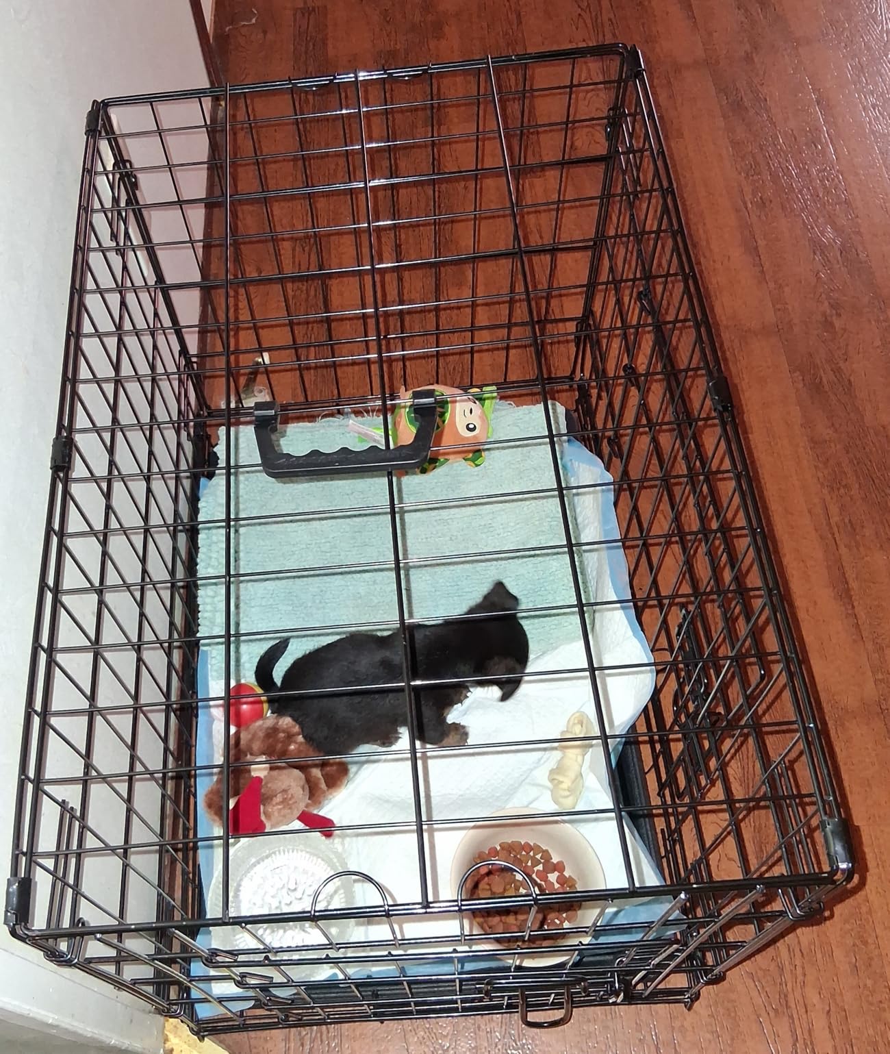 FDW Extra Large Dog Crate Dog Kennel Cage with Double Door, 48 inch Folding Metal Wire Dog Cage with Removable Tray & Divider Panel, Pet Crate for Large Dogs, Black customer photo 2