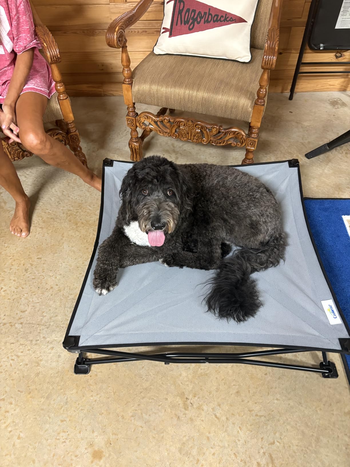 Coolaroo On-The-Go Elevated Dog Bed Kit - Portable & Cooling Travel Cot with HeatShield Fabric for Medium Dogs, Lightweight & Compact, Includes Matching Carry Bag & Everglade Green Bonus Cover, Medium customer photo 2