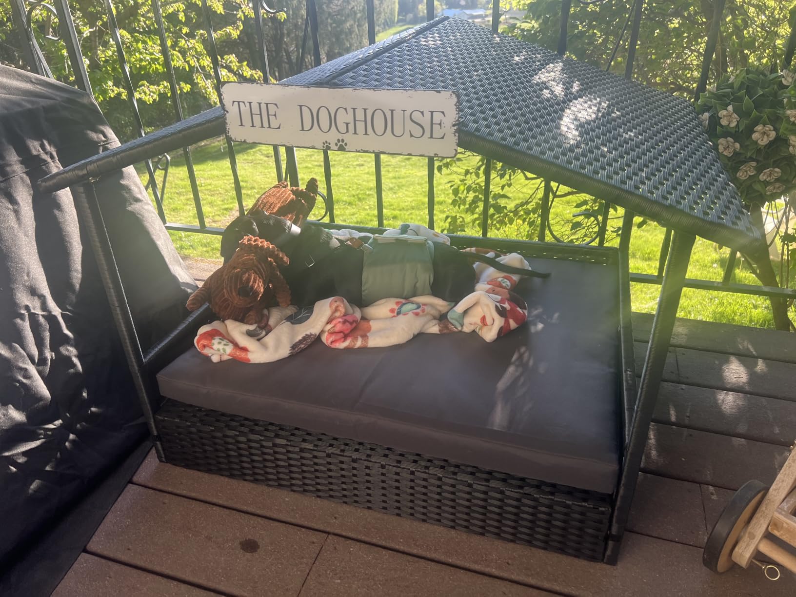 Yaheetech Wicker Dog House Outdoor Indoor with Canopy, Elevated Dog Shelter Dog Bed with Cushion for Small/Medium Dogs, Shade for Deck, Patio, Yard, Pool Brown House, Khaki Cushion customer photo 1