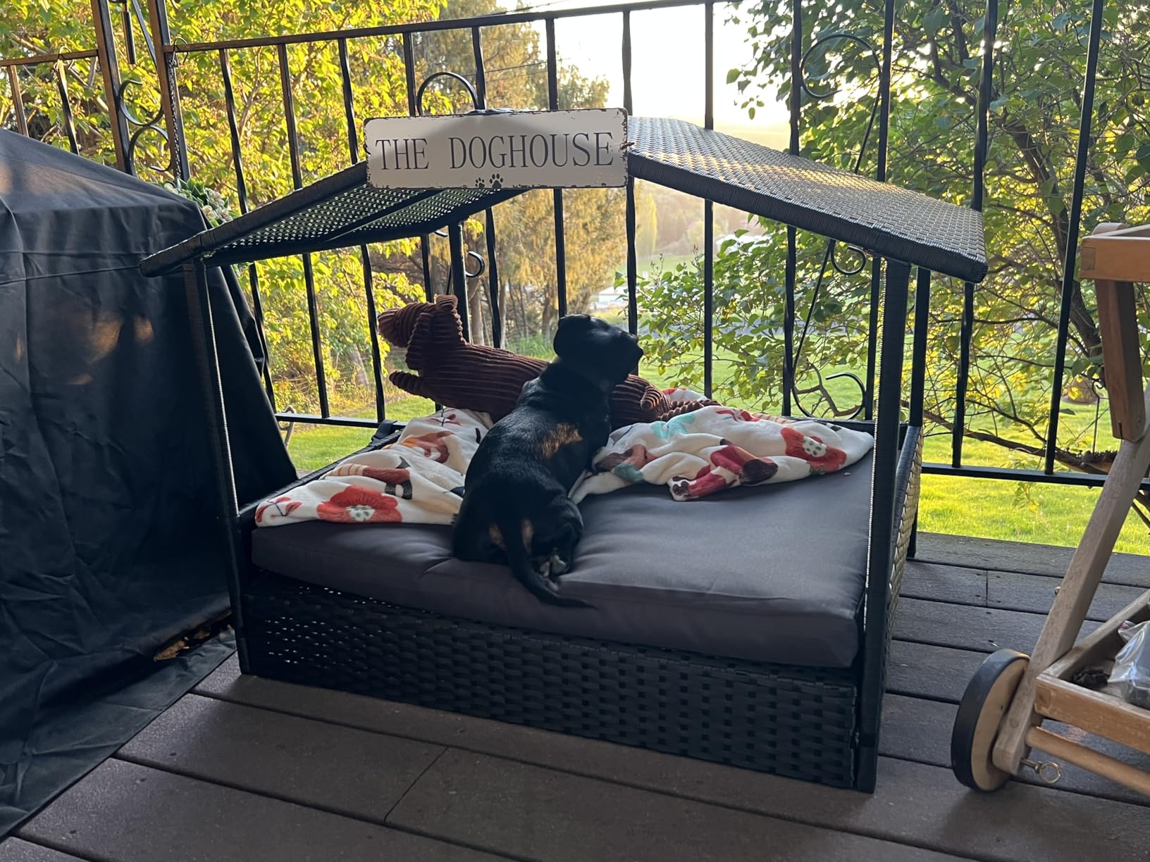 Yaheetech Wicker Dog House Outdoor Indoor with Canopy, Elevated Dog Shelter Dog Bed with Cushion for Small/Medium Dogs, Shade for Deck, Patio, Yard, Pool Brown House, Khaki Cushion customer photo 2