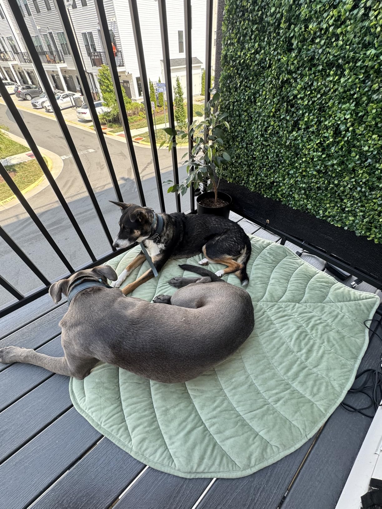 Vagascape Dog Cooling Mat, Washable Pet Cooling Mat, 55