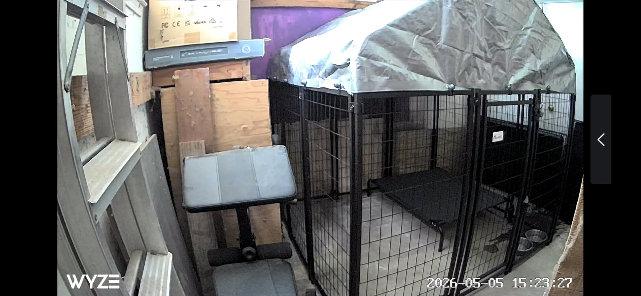 10 Best 6 Foot Tall Dog Kennels (September 2026) Complete Guide