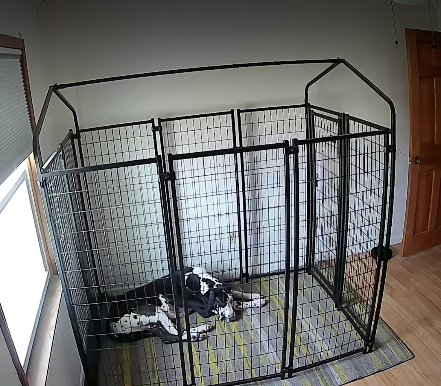 PawHut Outdoor Dog Kennel with Roof, 6' x 6' x 6' Heavy Duty Welded Wire Dog Playpen Enclosure with Escape-Proof Lock, UV-Resistant & Waterproof Cover, for Large Dogs customer photo 2