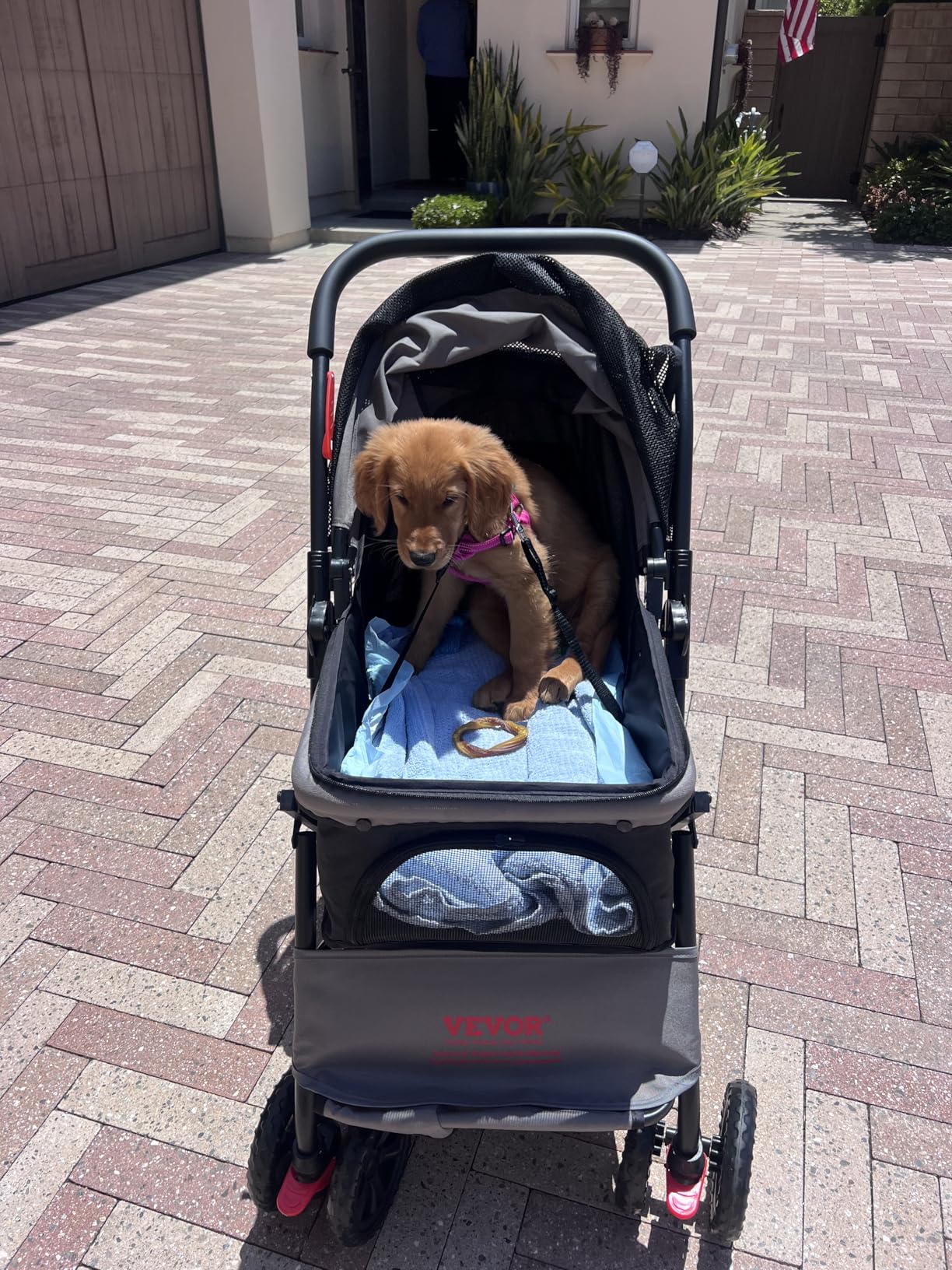 VEVOR Pet Stroller, 35 lbs Weight Capacity, Foldable Dog Cart, 3 Wheels Cats Carts with Mesh Windows and Cup Holders, Portable Pet Carrier Stroller with Brake, for Small to Medium Pets customer photo 2
