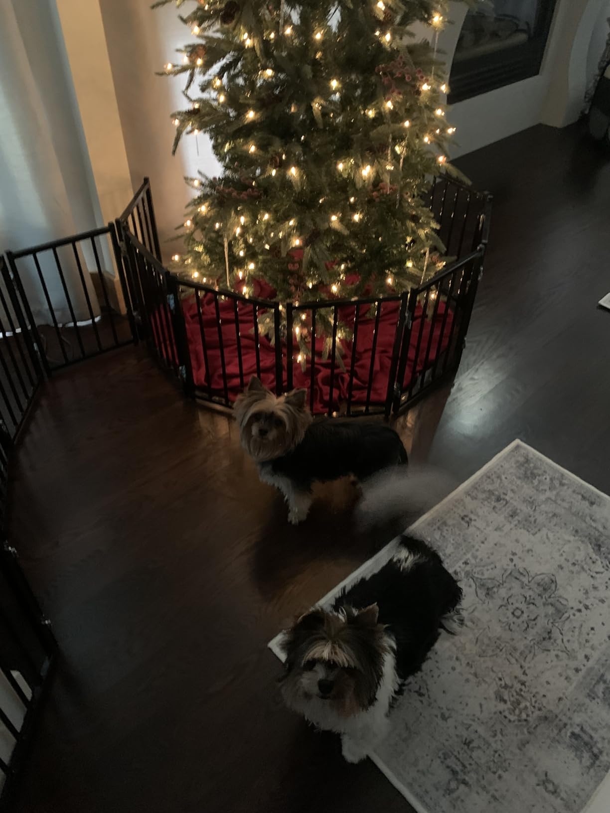 BFNN Free Standing Dog Gate, 16.5