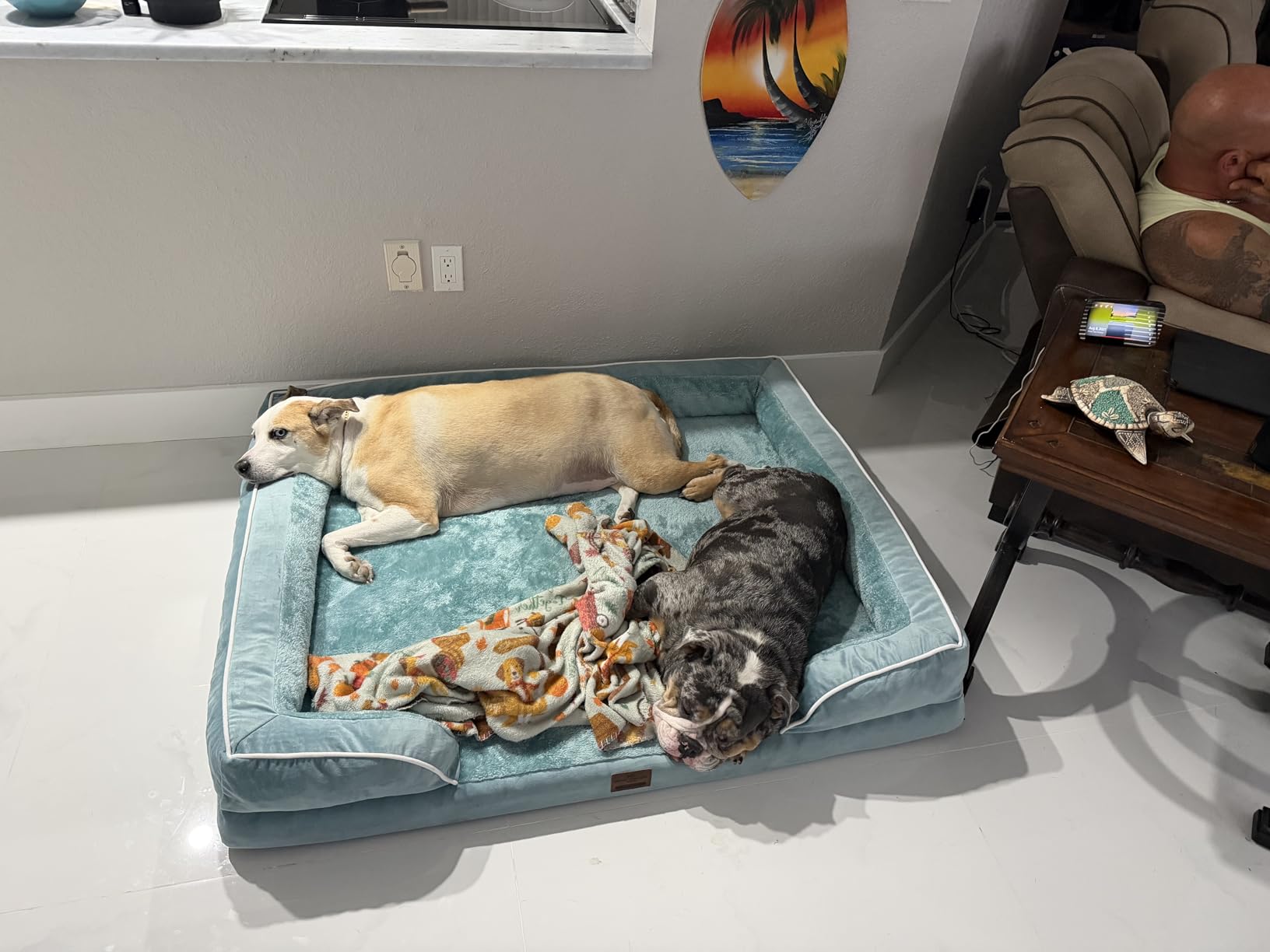 Comfort Expression Orthopedic Dog Bed for Medium Dogs 30x20 Inch, Waterproof Supportive Egg Crate Foam Medium Pet Bed with Removable Bolsters, Dog Couch with Washable Cover & Non-Slip Bottom, Grey customer photo 1