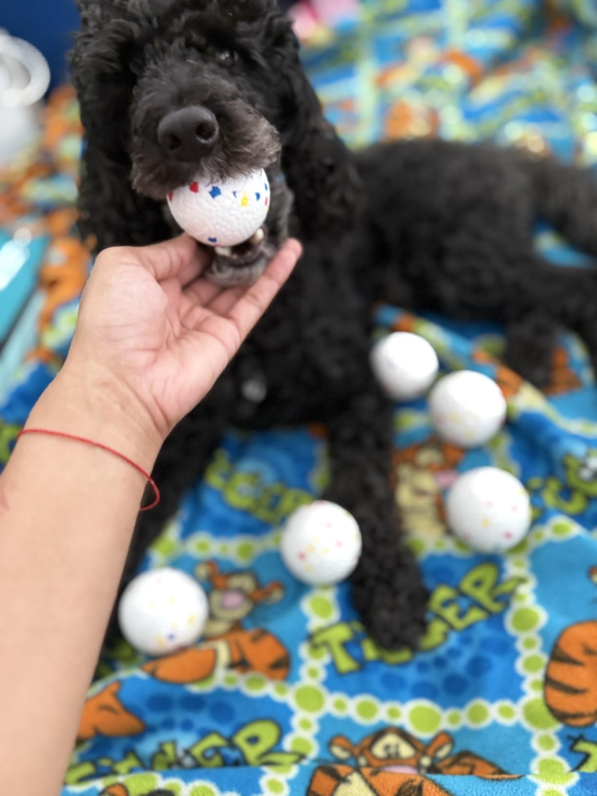 MEKAPLE Automatic Dog Ball Launcher, Upgraded Interactive Dogs Balls Thrower for Small and Medium Dogs, Distance Adjustable Mental Stimulating Dog Toys with 4 Durable Etpu Balls 2.2 Inch (Yellow) customer photo 1