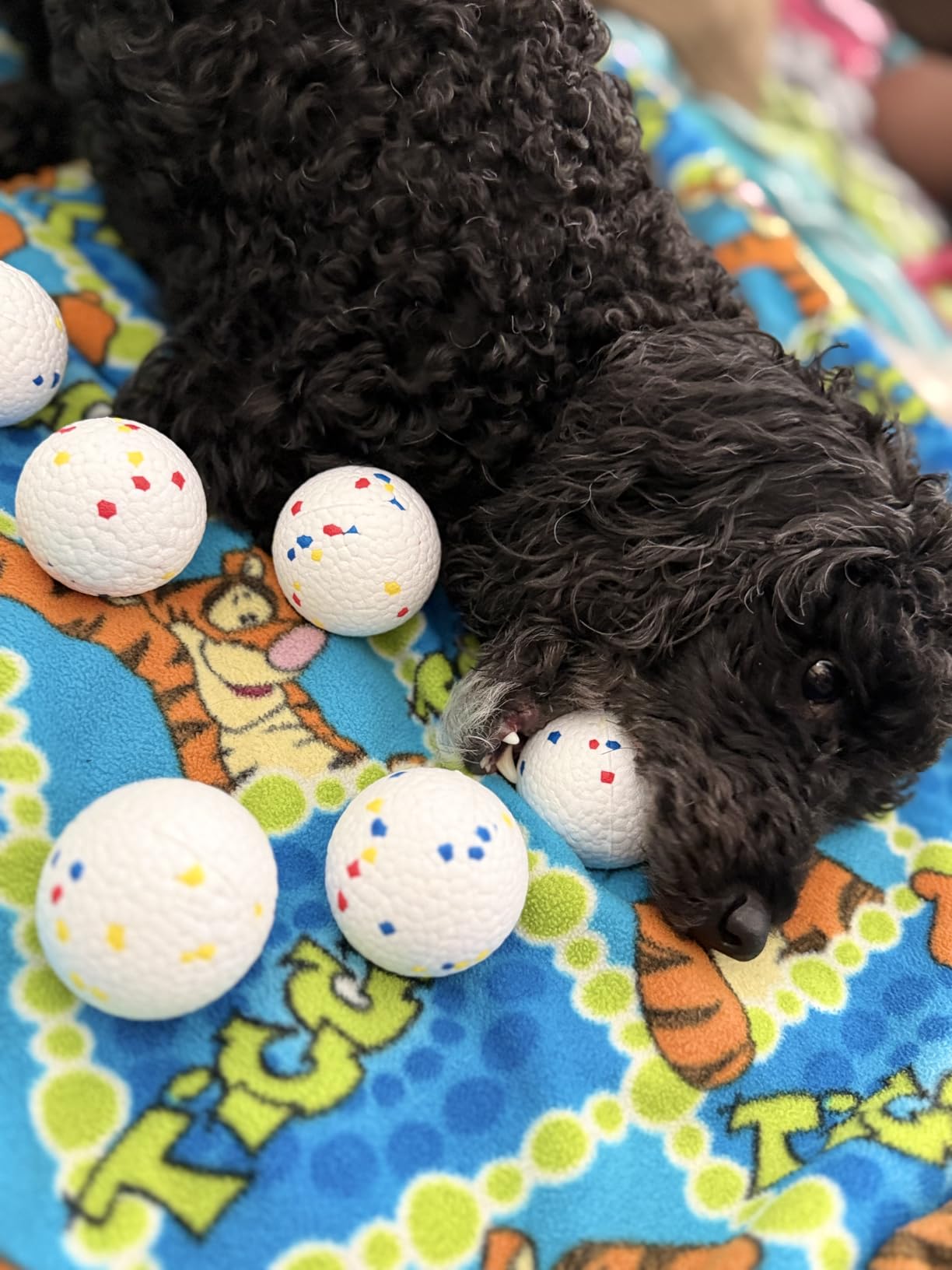 MEKAPLE Automatic Dog Ball Launcher, Upgraded Interactive Dogs Balls Thrower for Small and Medium Dogs, Distance Adjustable Mental Stimulating Dog Toys with 4 Durable Etpu Balls 2.2 Inch (Yellow) customer photo 2
